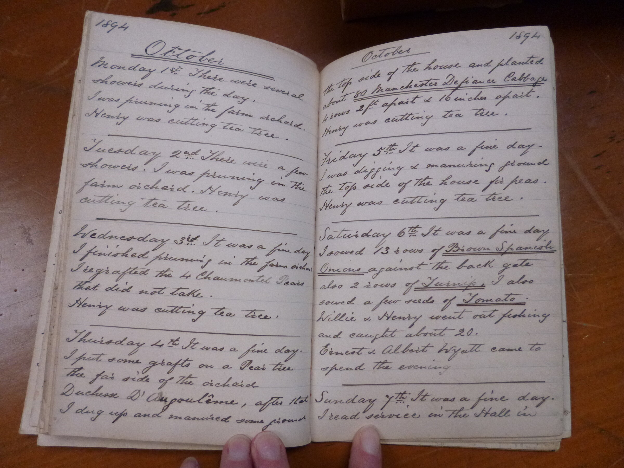 Original CS Clarke diary page