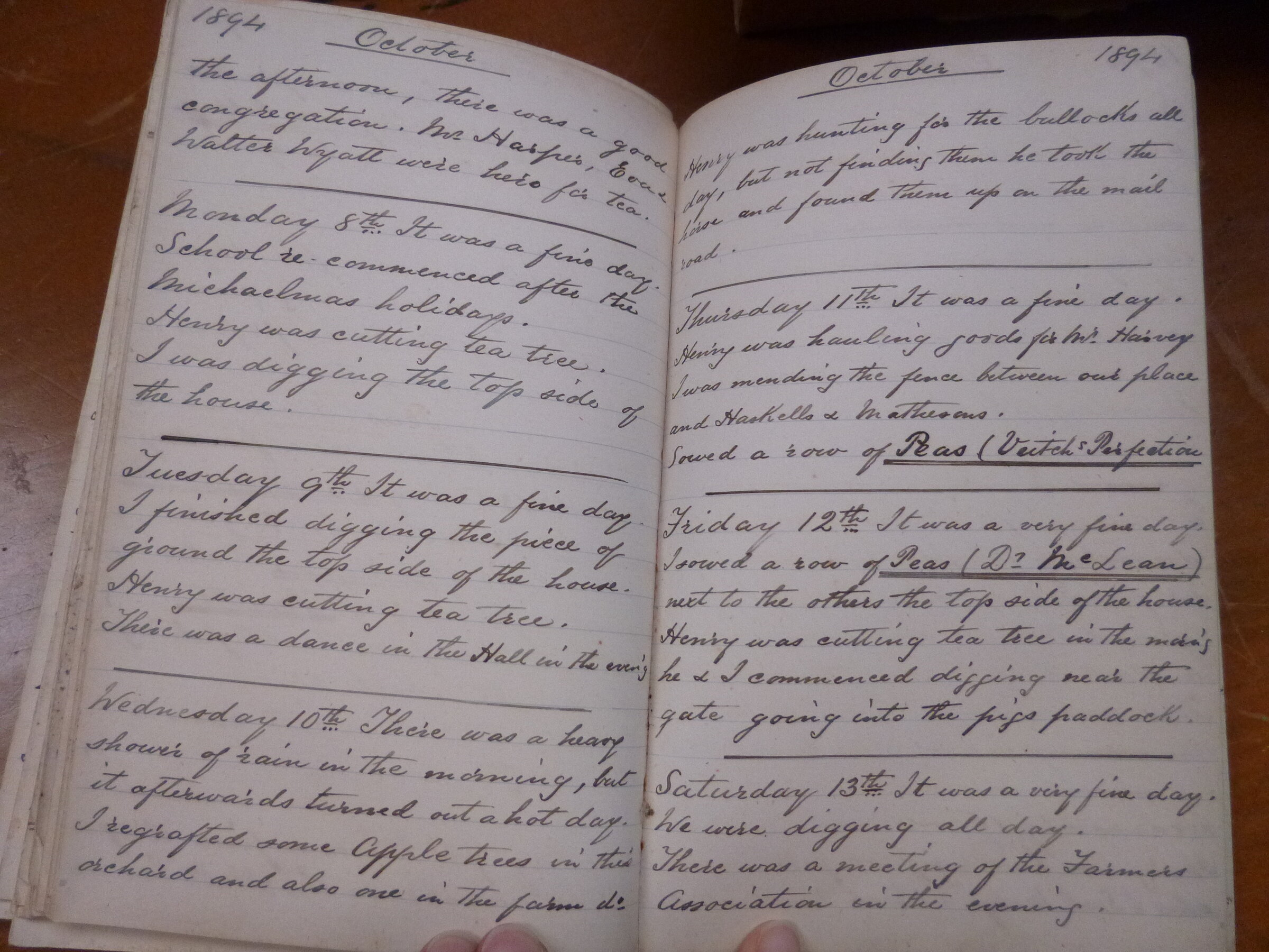 Original CS Clarke diary page