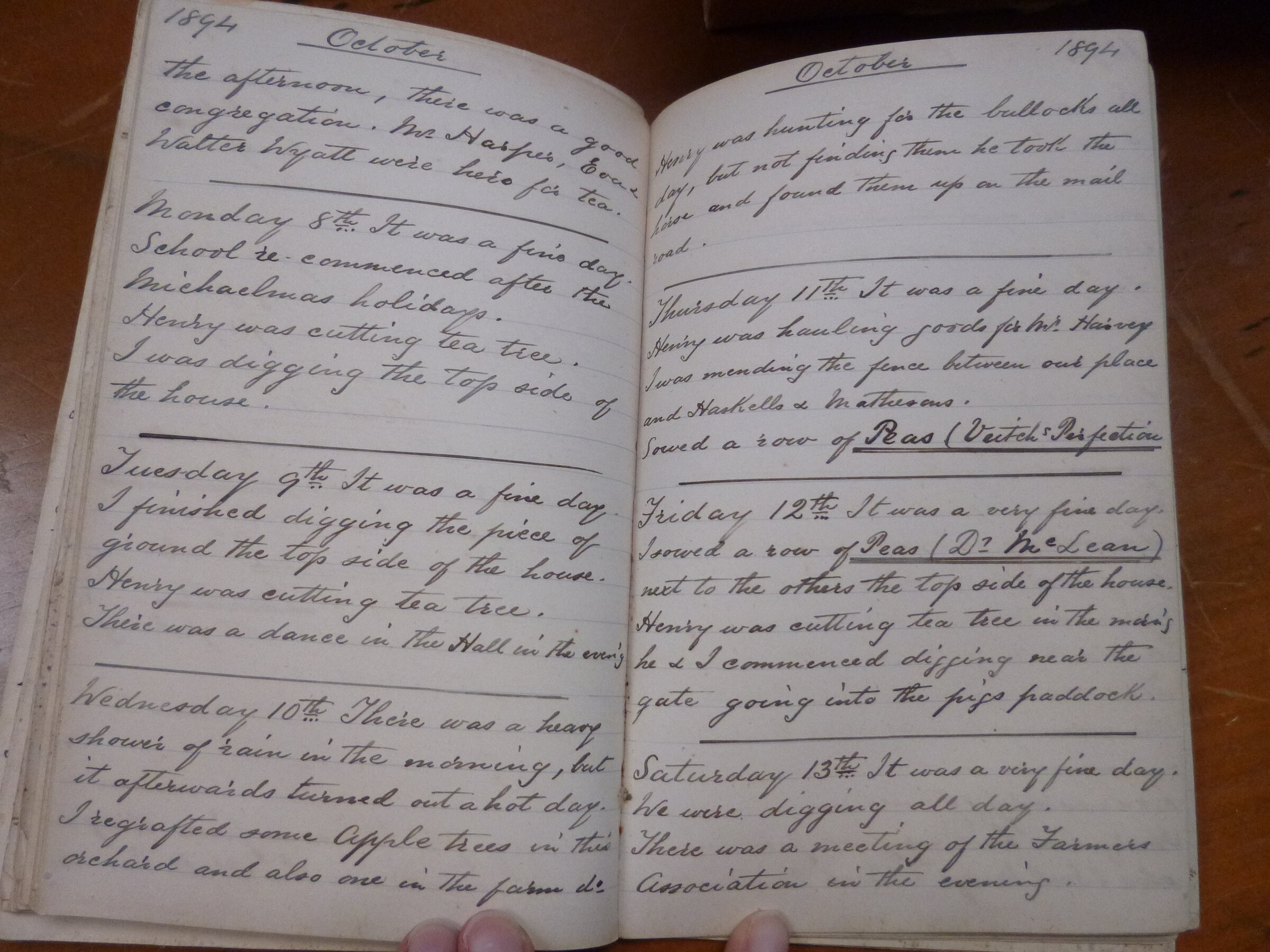 Original CS Clarke diary page