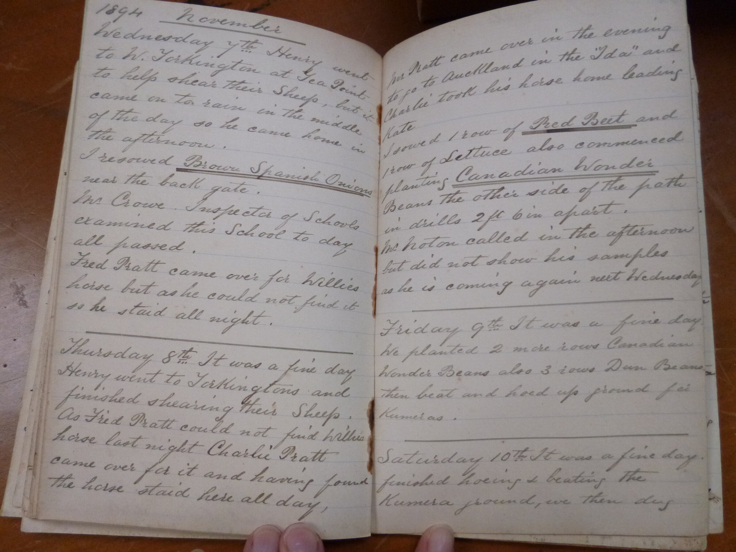 Original CS Clarke diary page