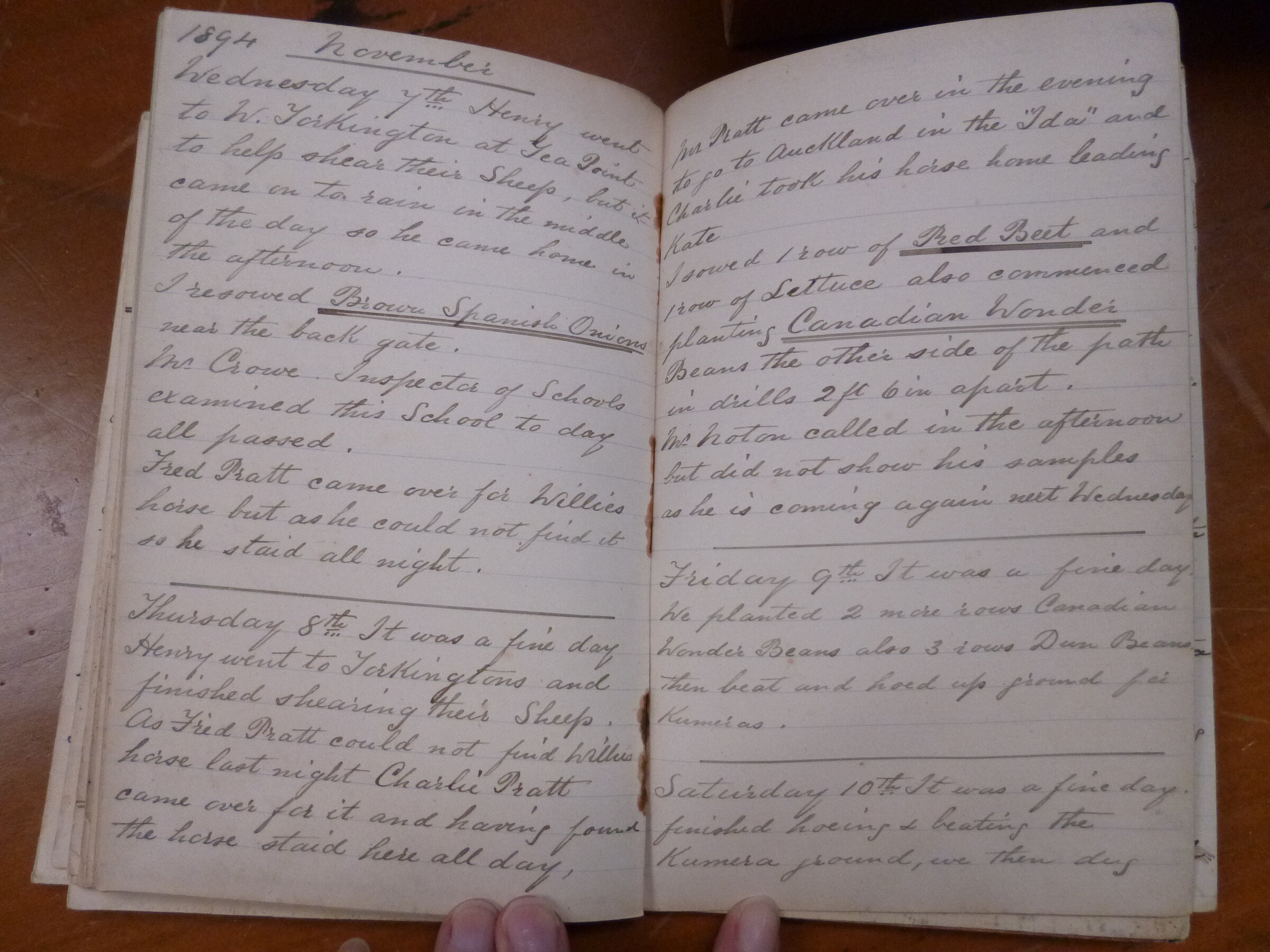Original CS Clarke diary page