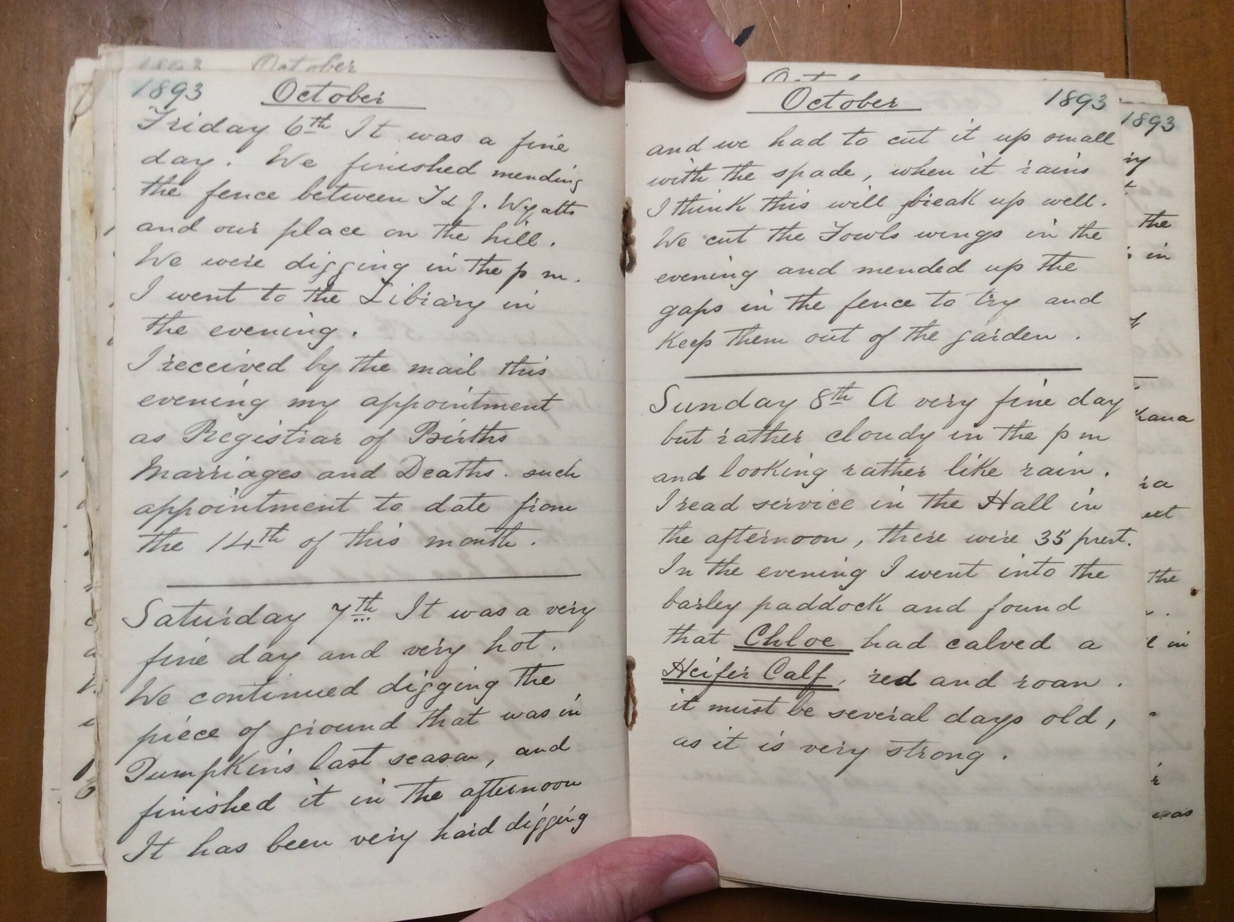Original CS Clarke diary page