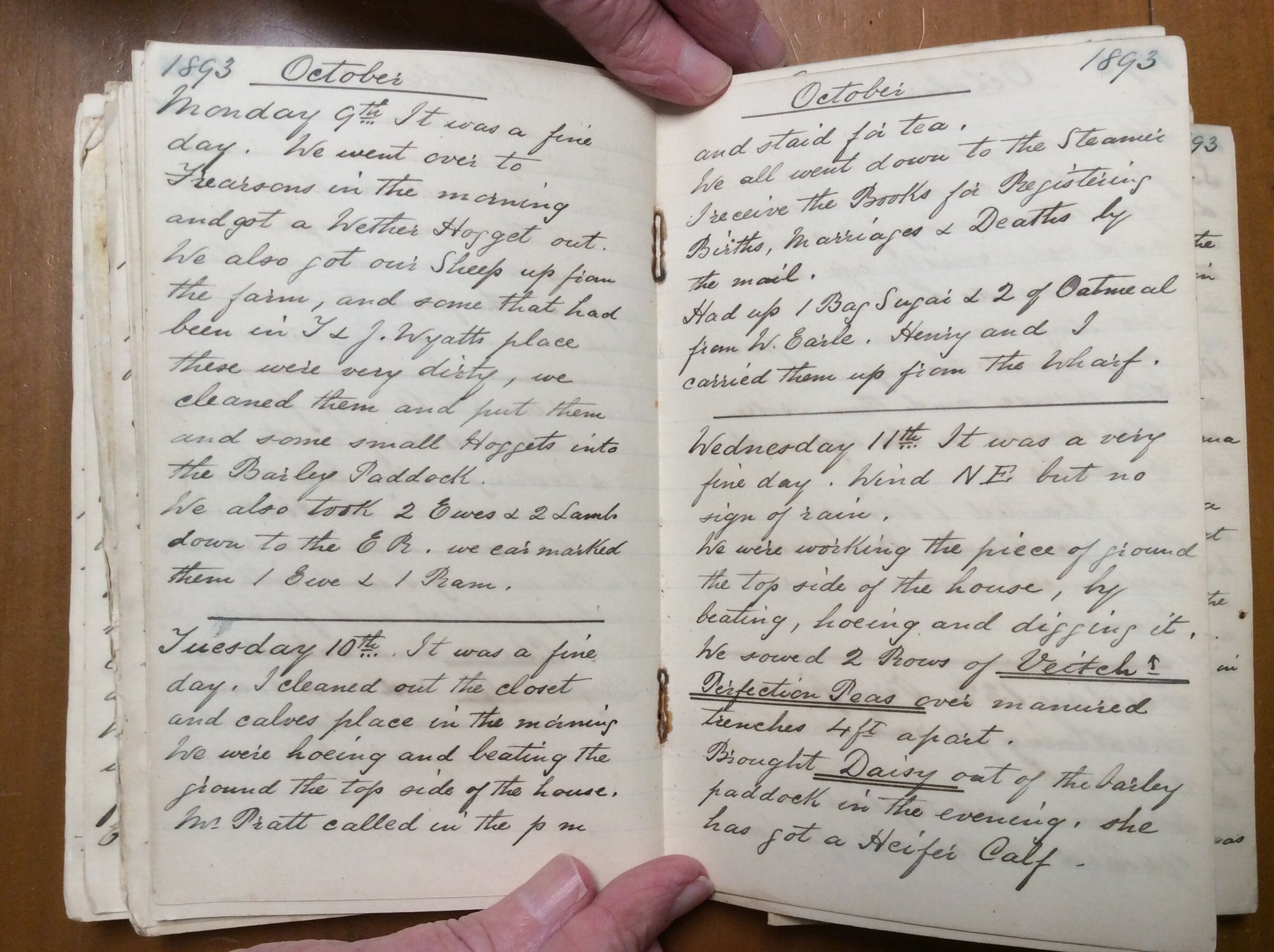 Original CS Clarke diary page