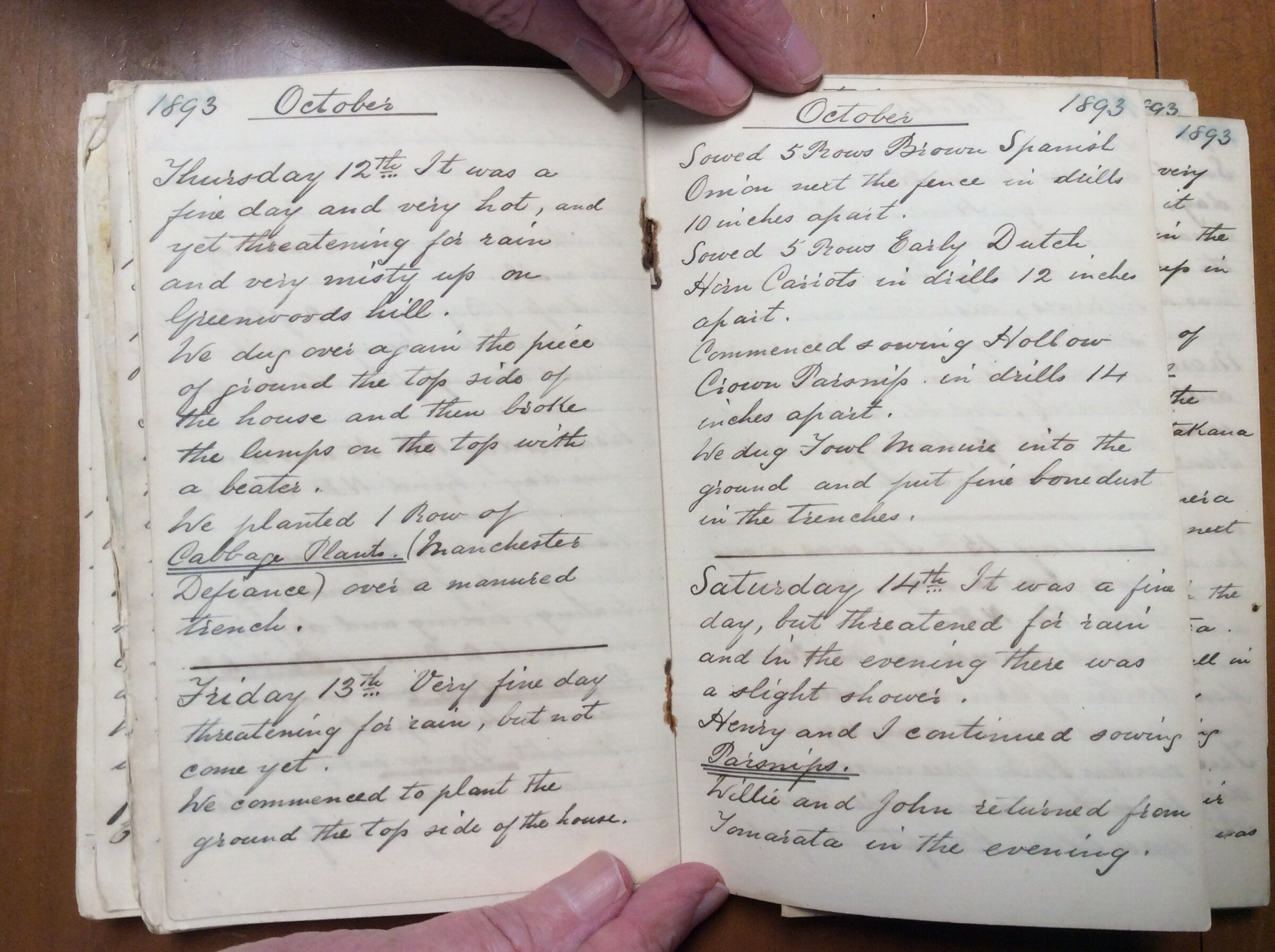 Original CS Clarke diary page