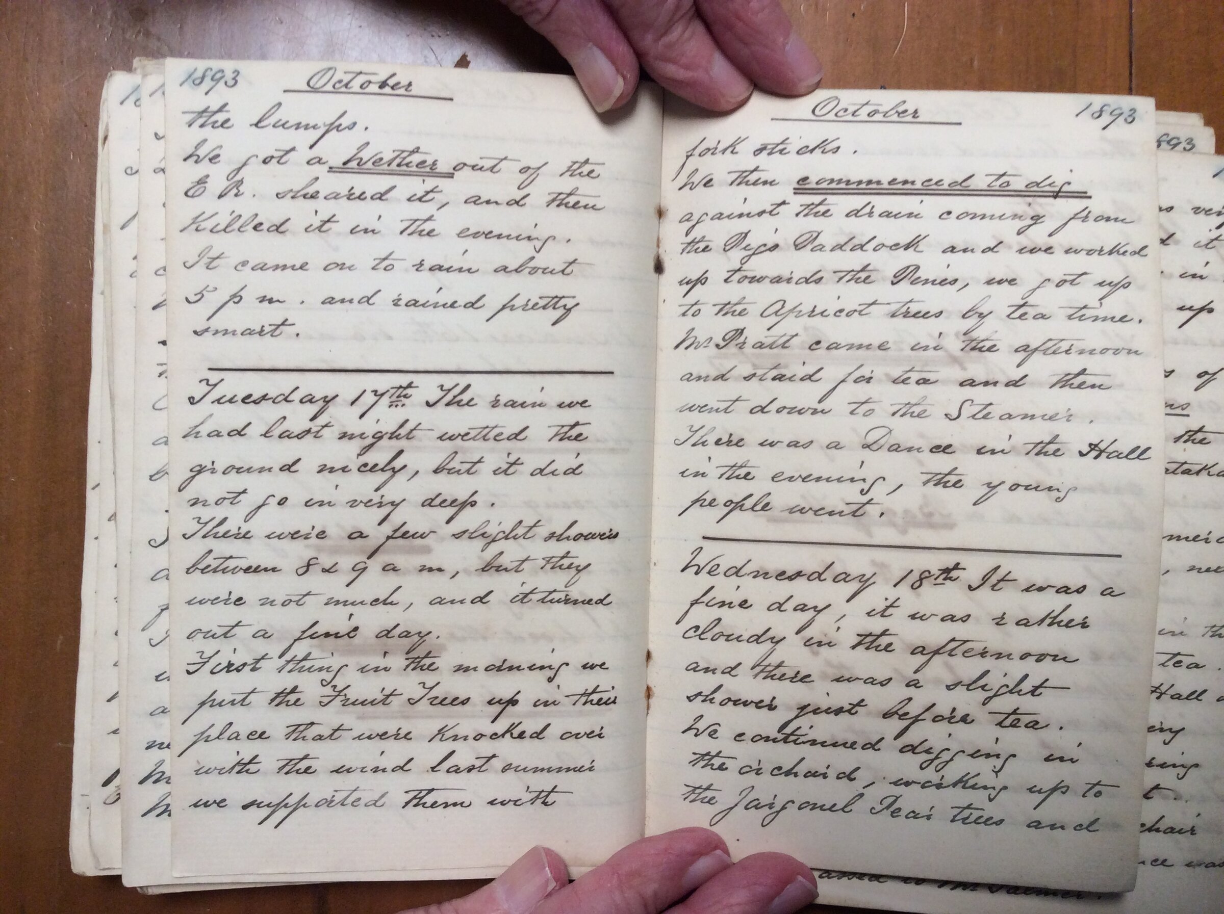 Original CS Clarke diary page