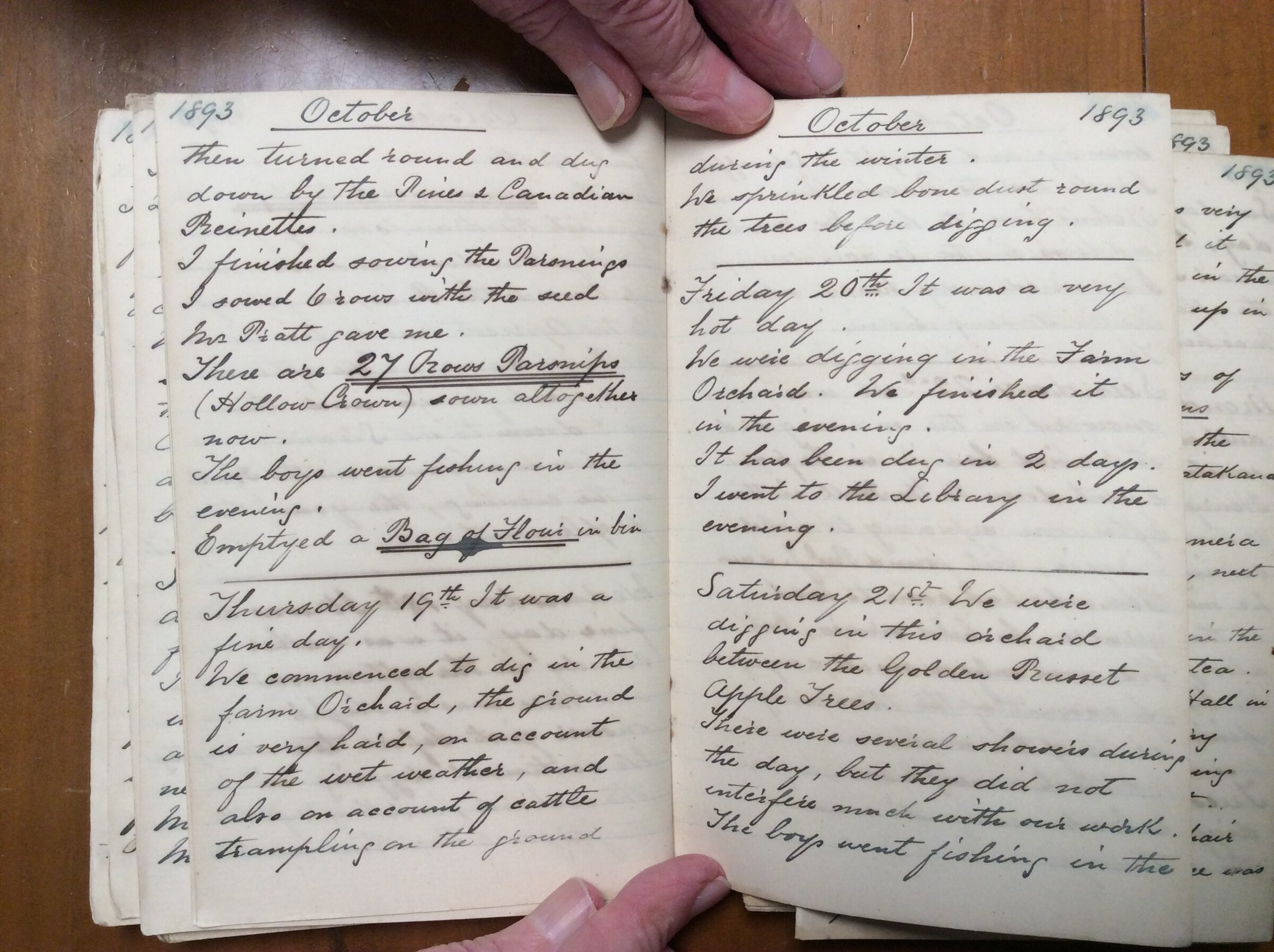Original CS Clarke diary page