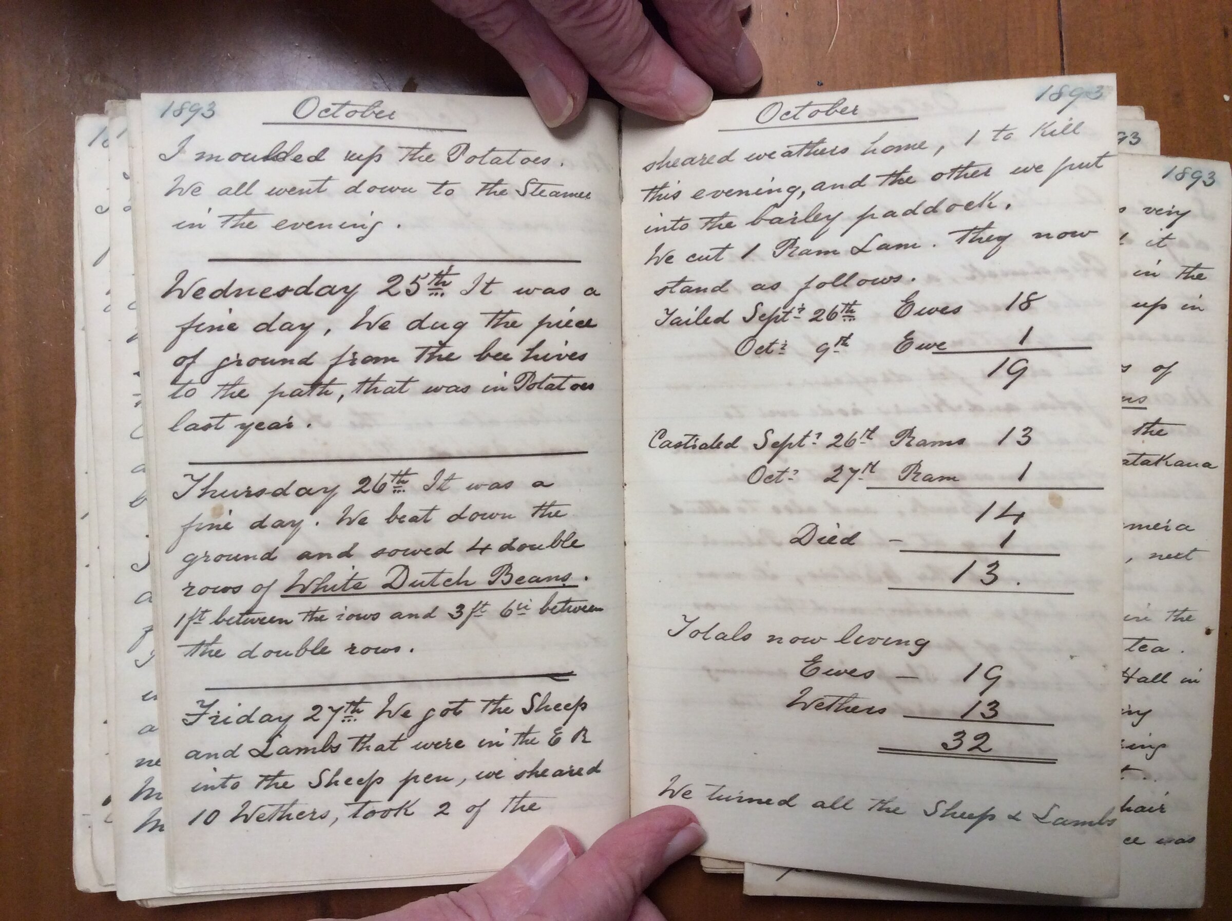 Original CS Clarke diary page