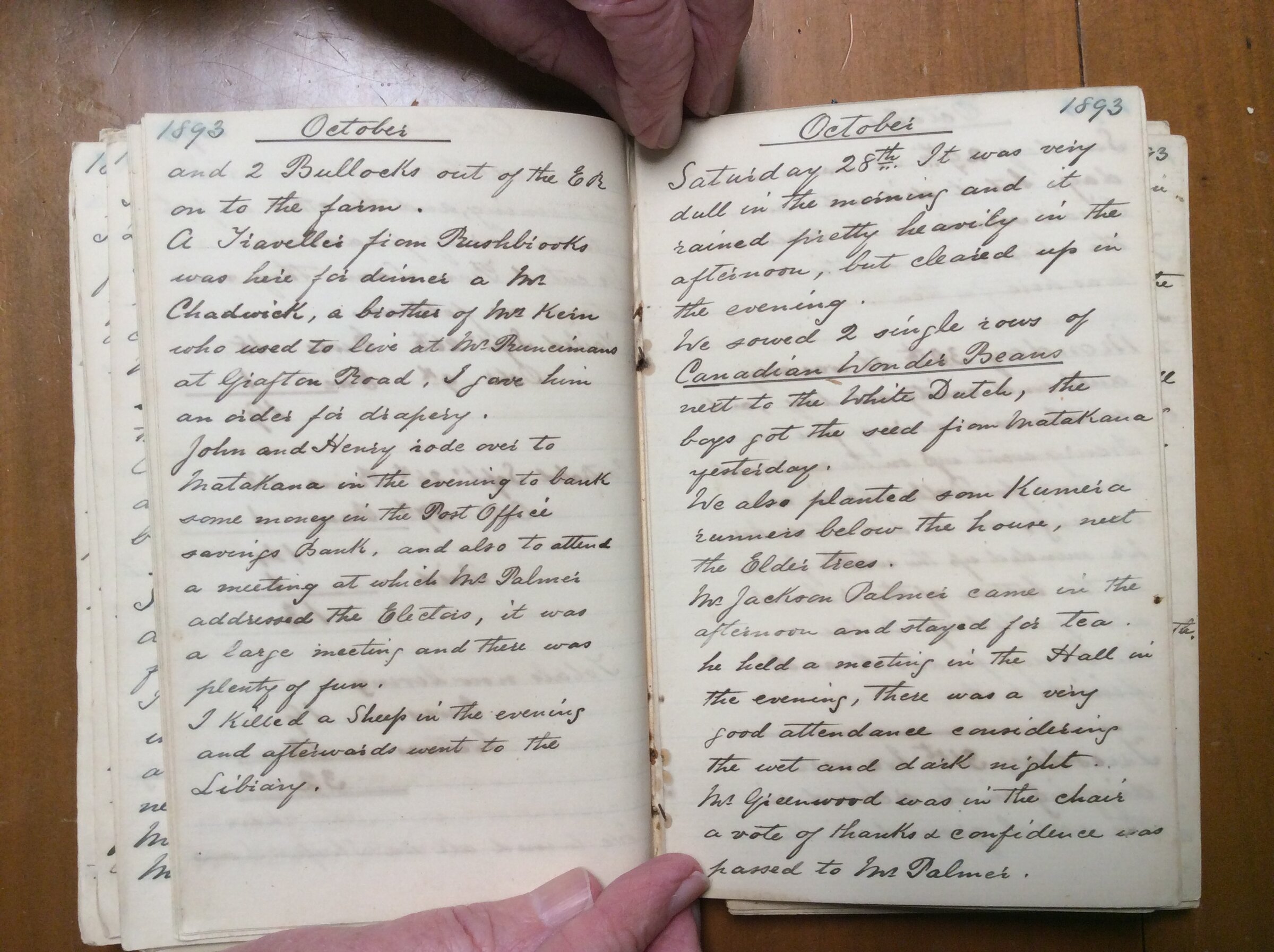 Original CS Clarke diary page