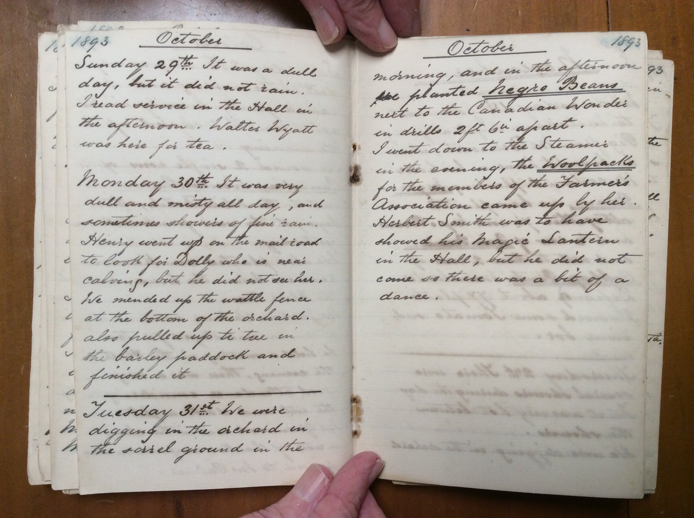Original CS Clarke diary page
