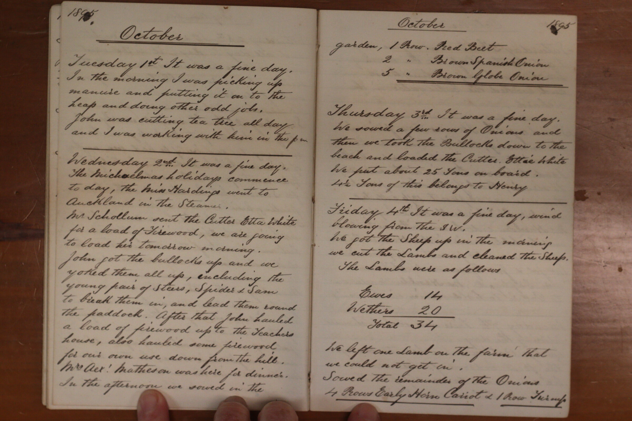 Original CS Clarke diary page