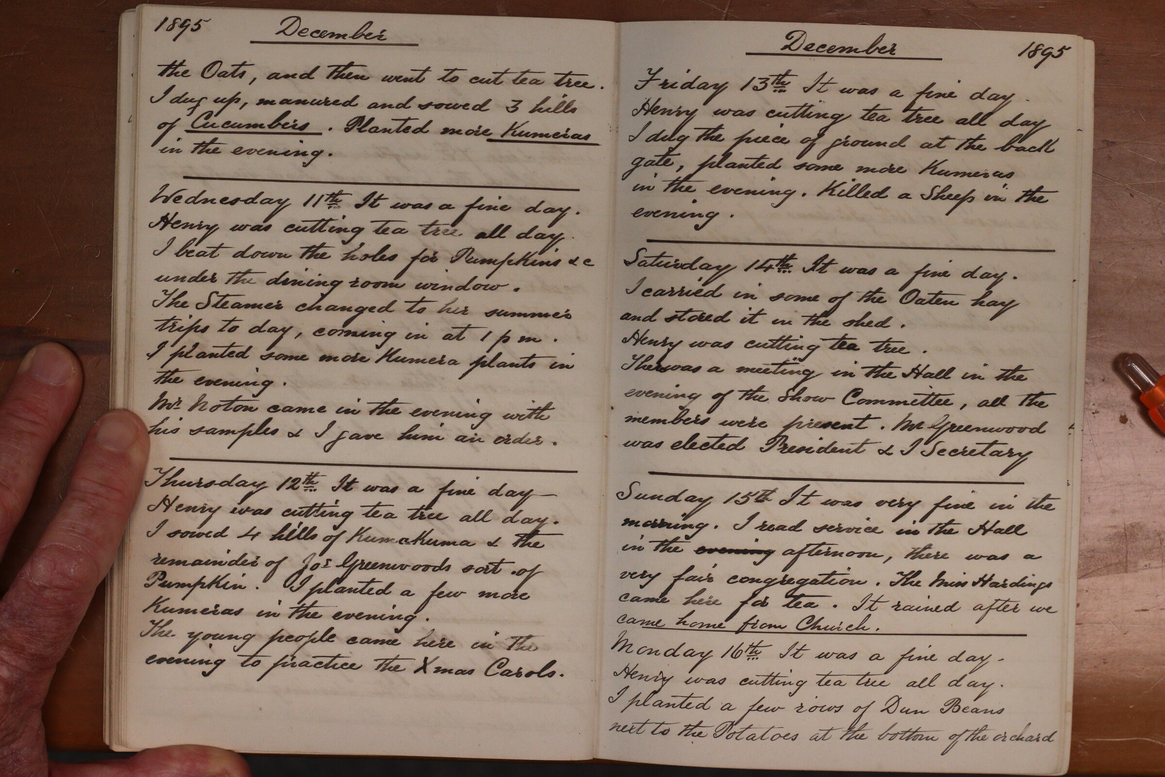Original CS Clarke diary page