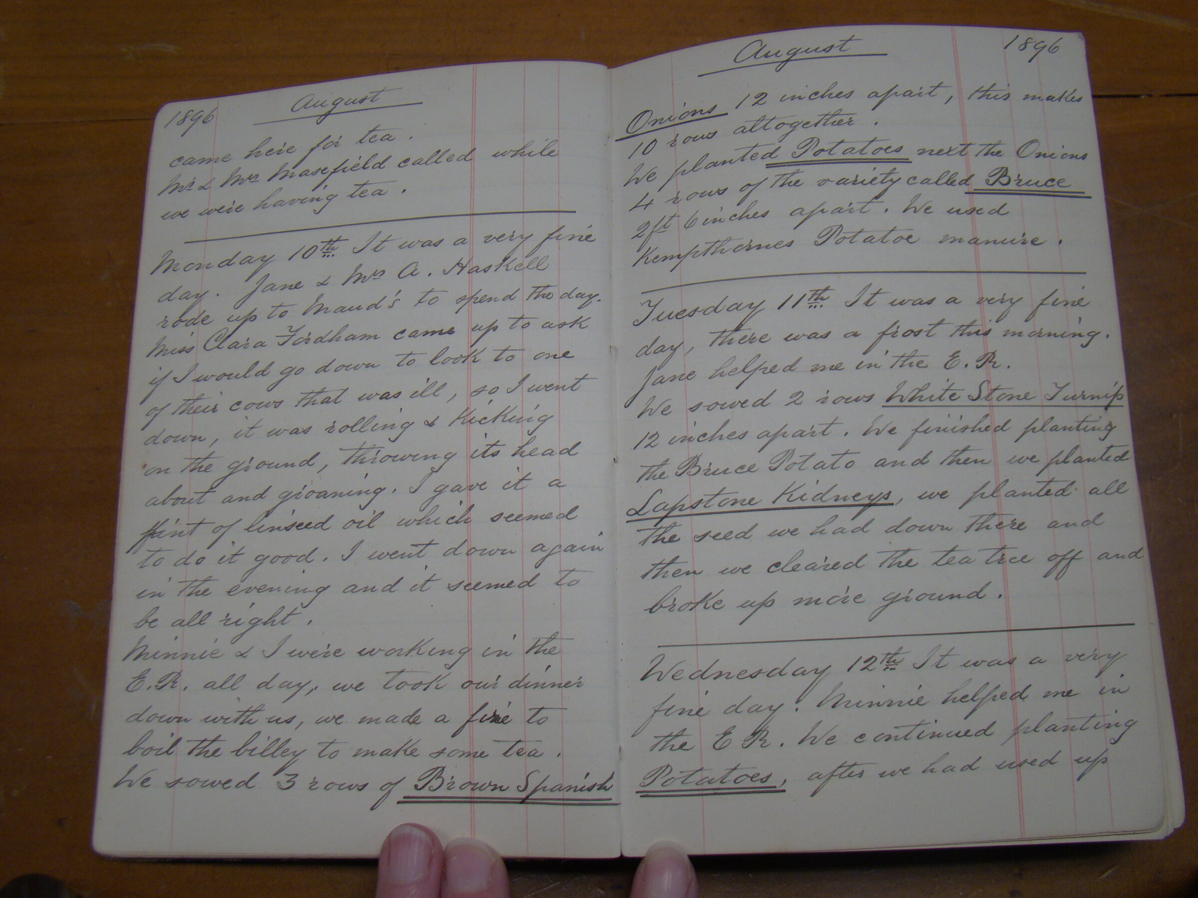 Original CS Clarke diary page
