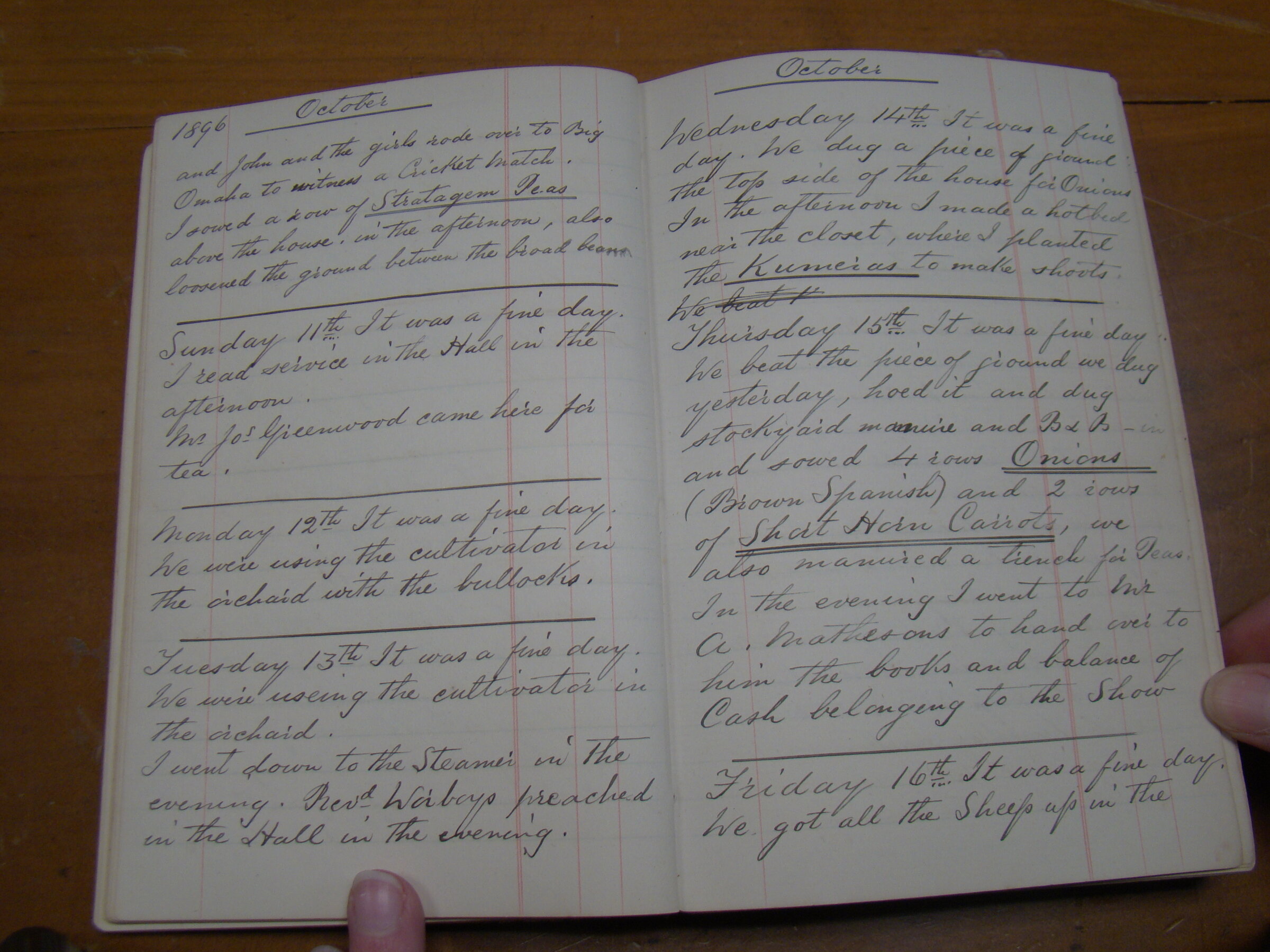 Original CS Clarke diary page