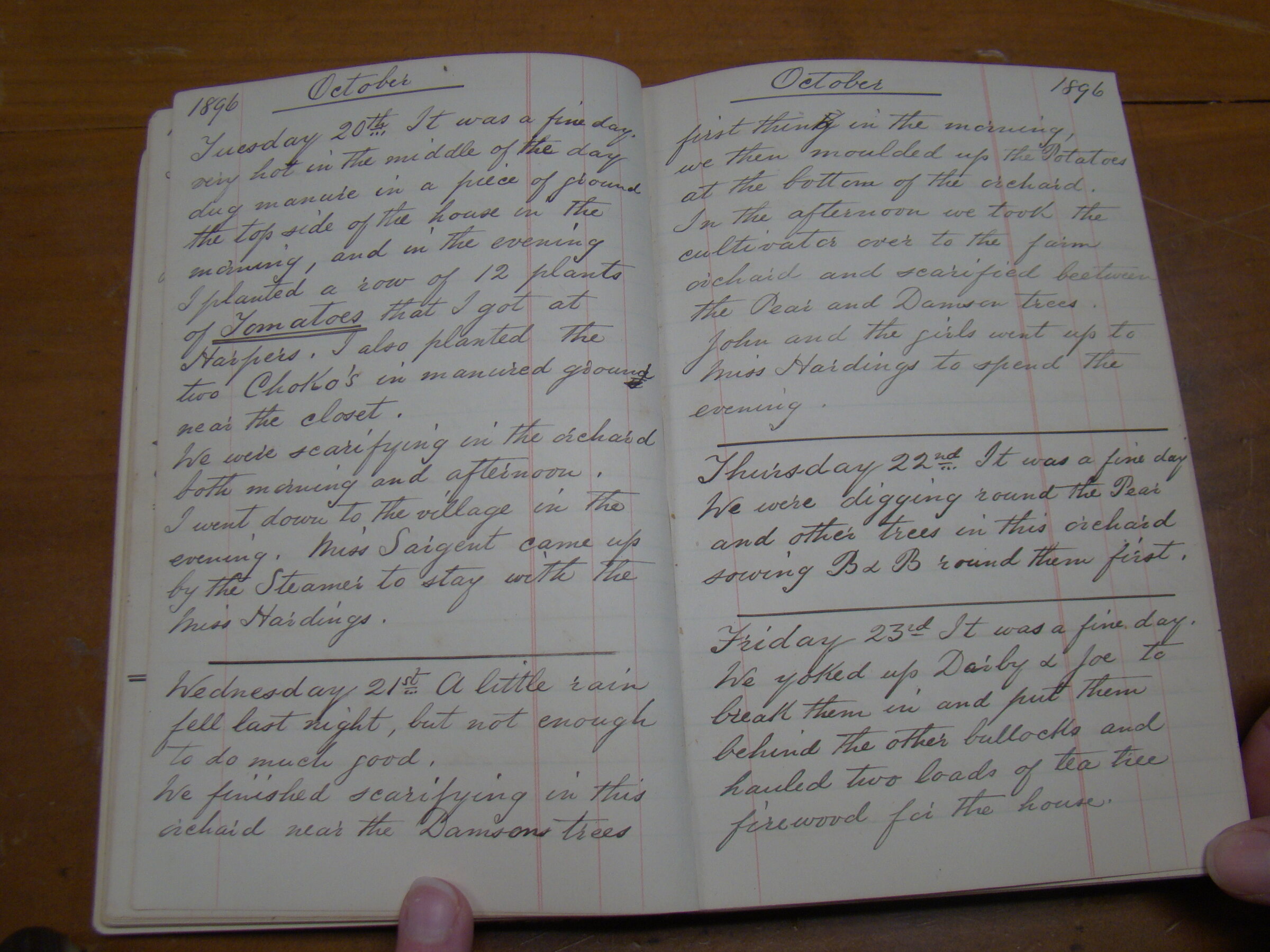 Original CS Clarke diary page