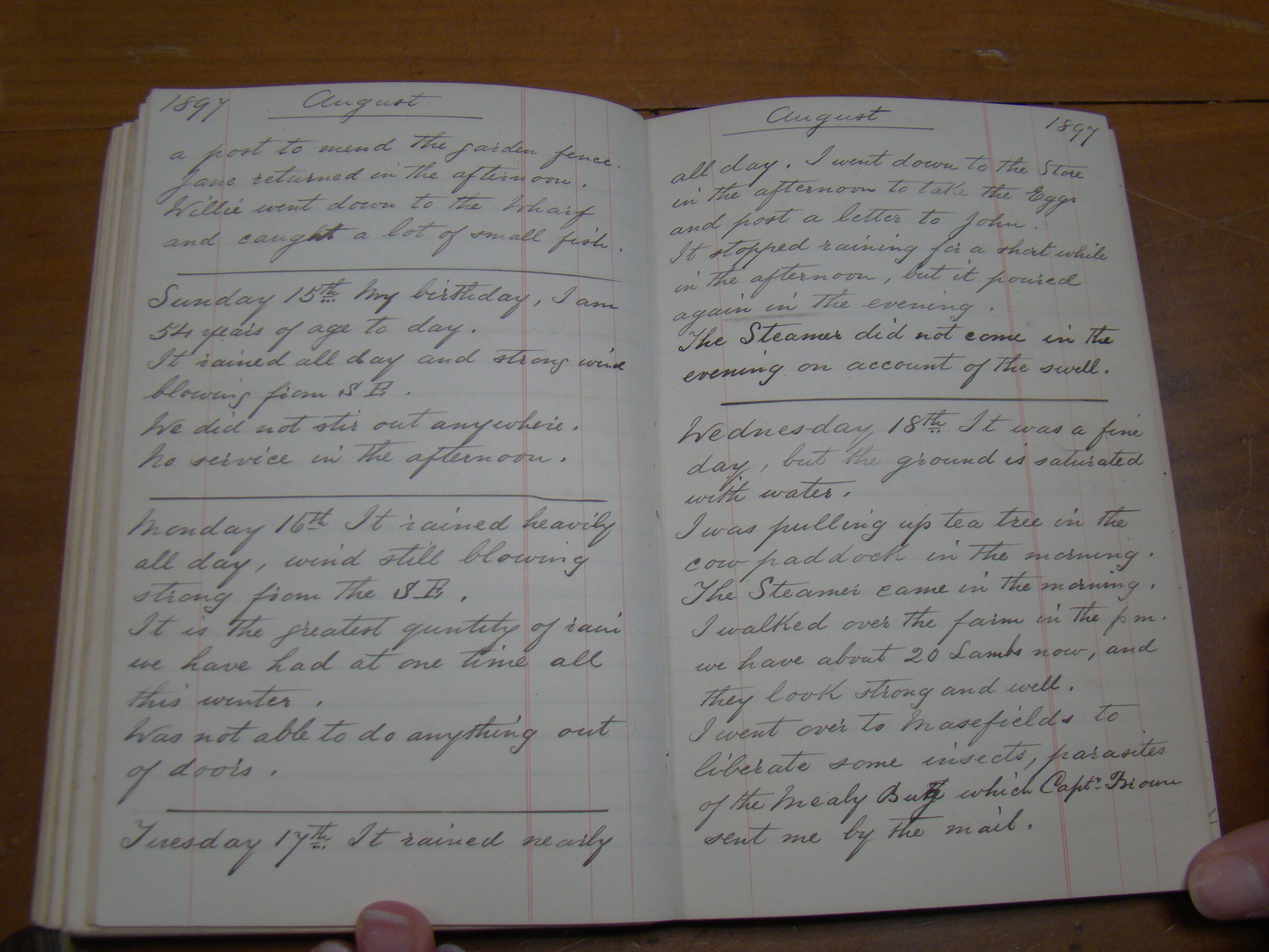 Original CS Clarke diary page