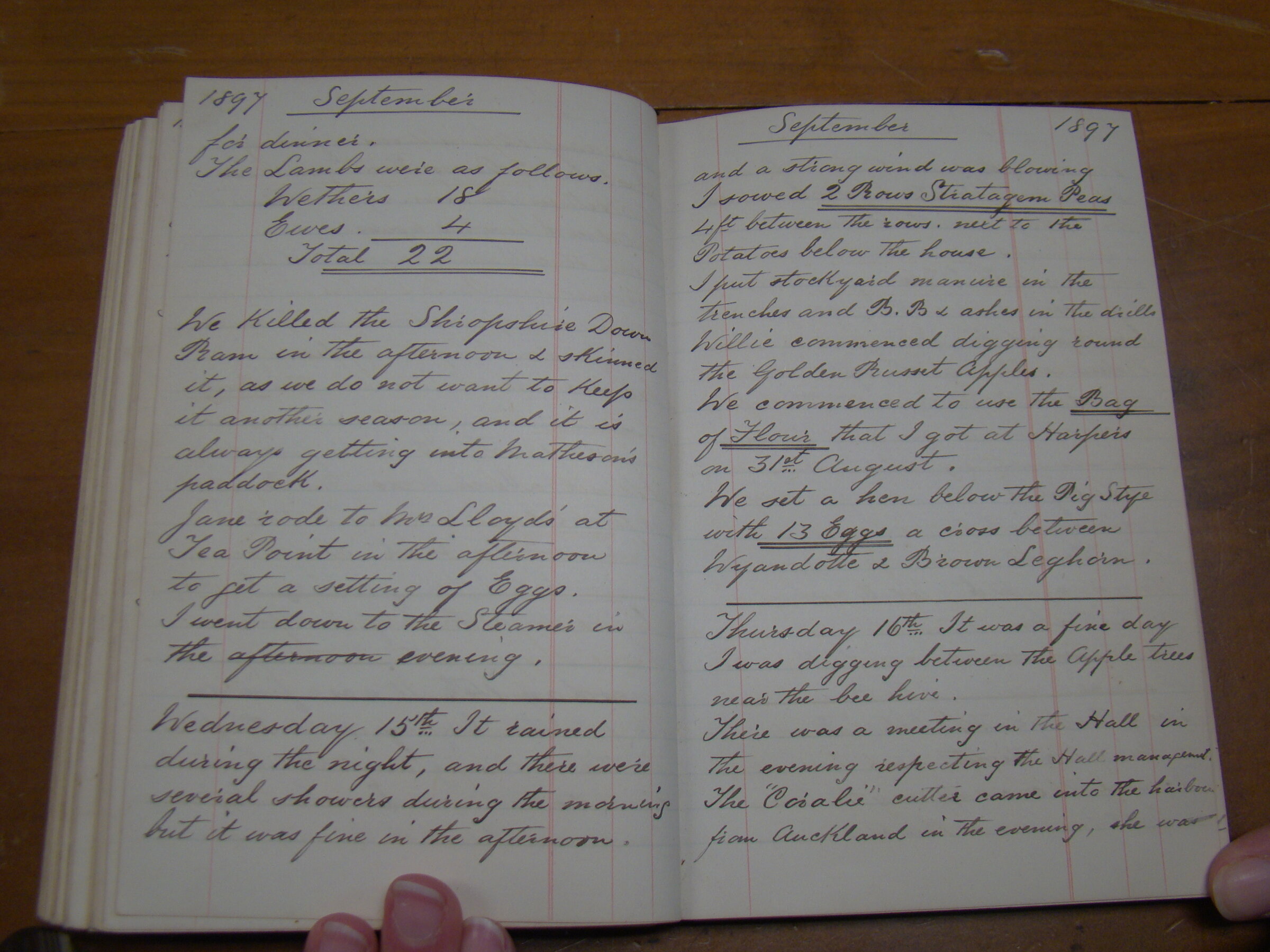 Original CS Clarke diary page
