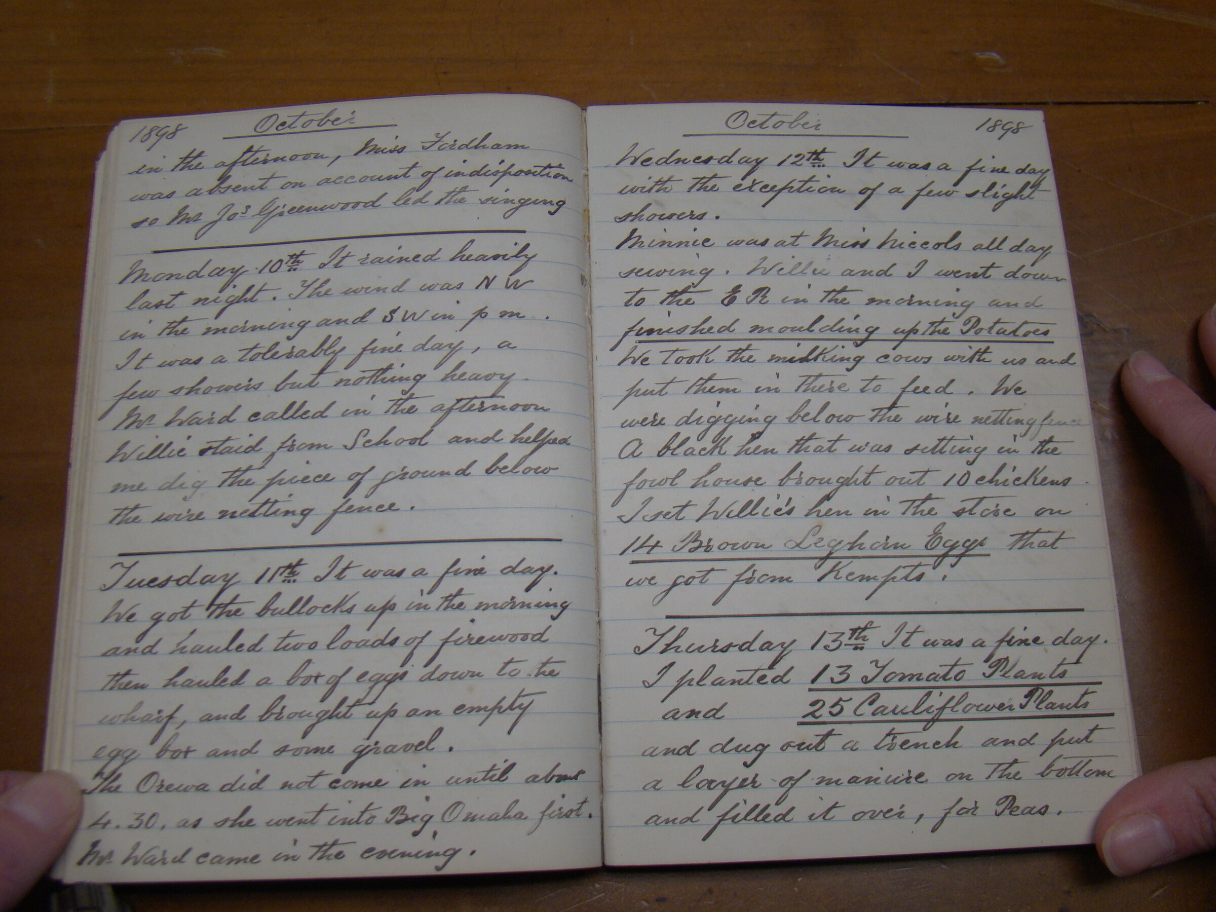 Original CS Clarke diary page