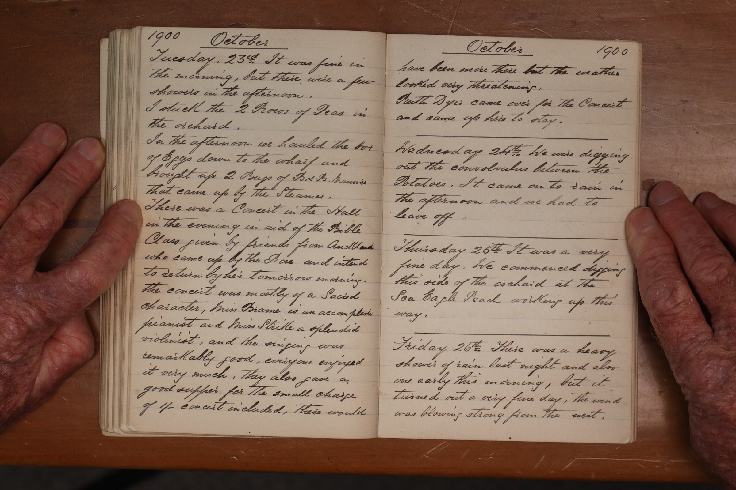 Original CS Clarke diary page