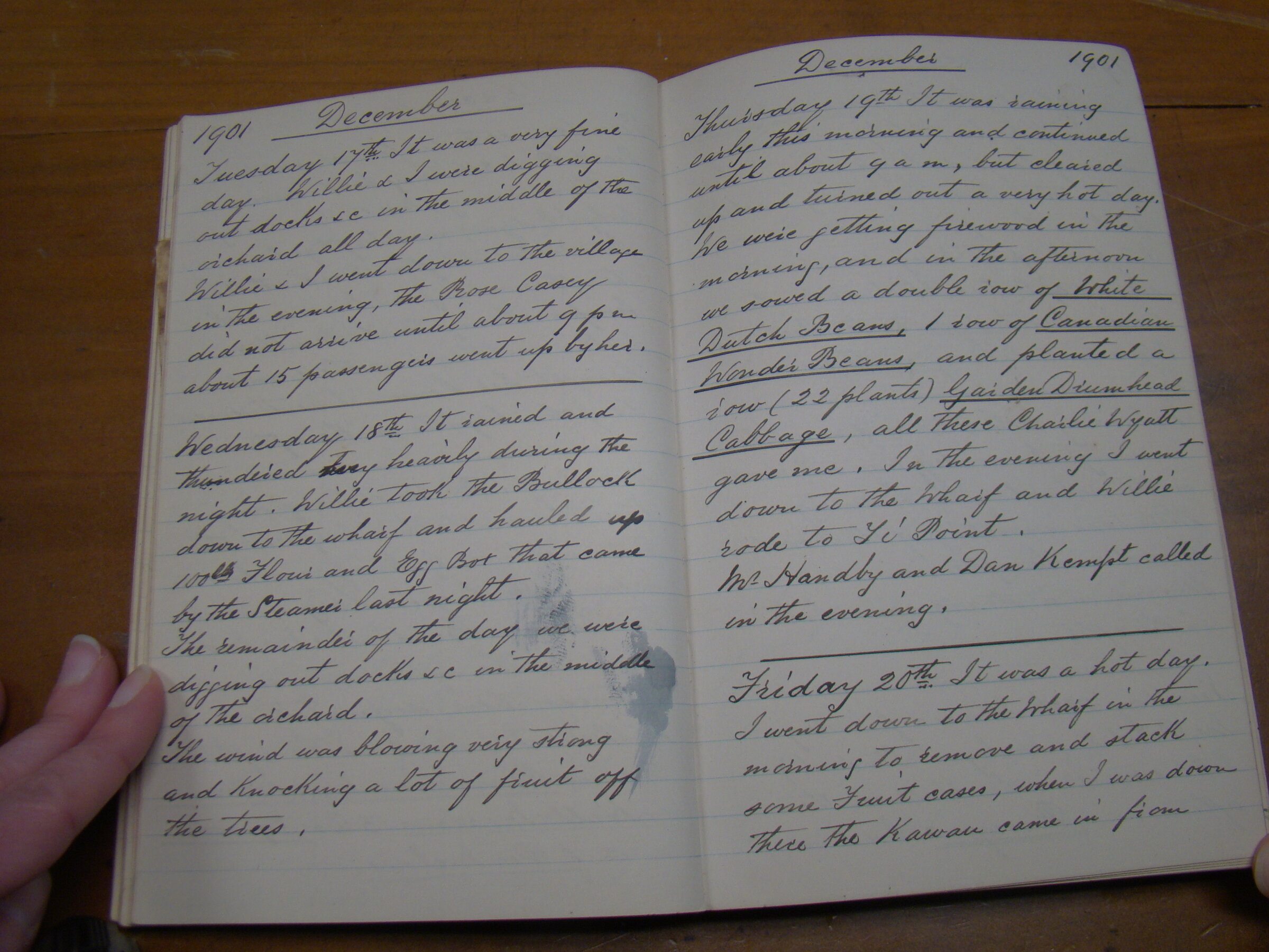 Original CS Clarke diary page