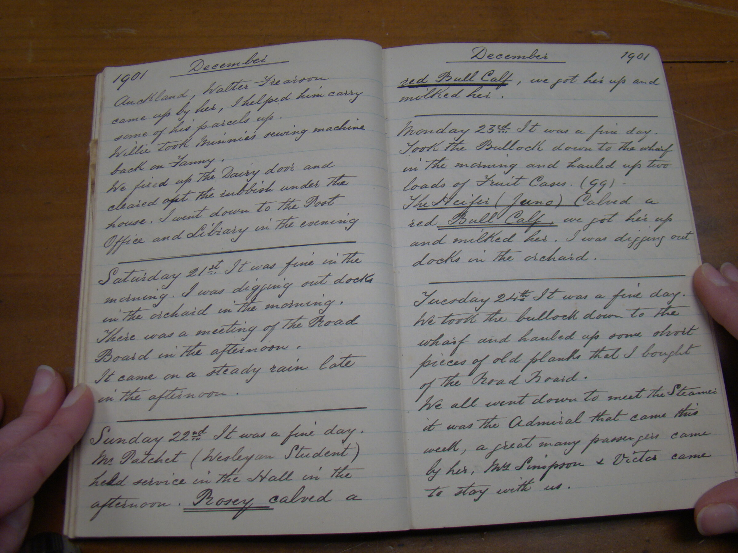 Original CS Clarke diary page