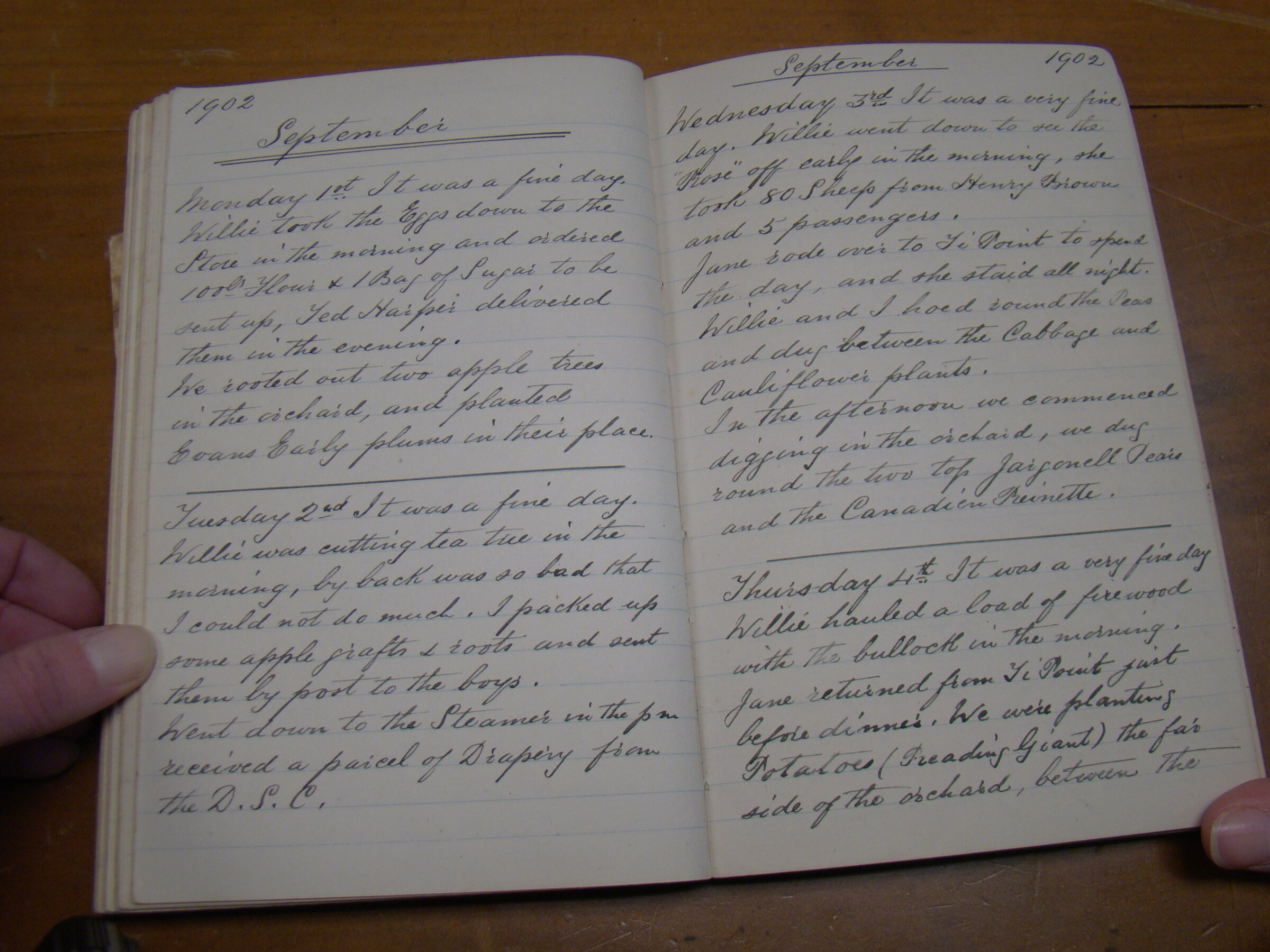 Original CS Clarke diary page