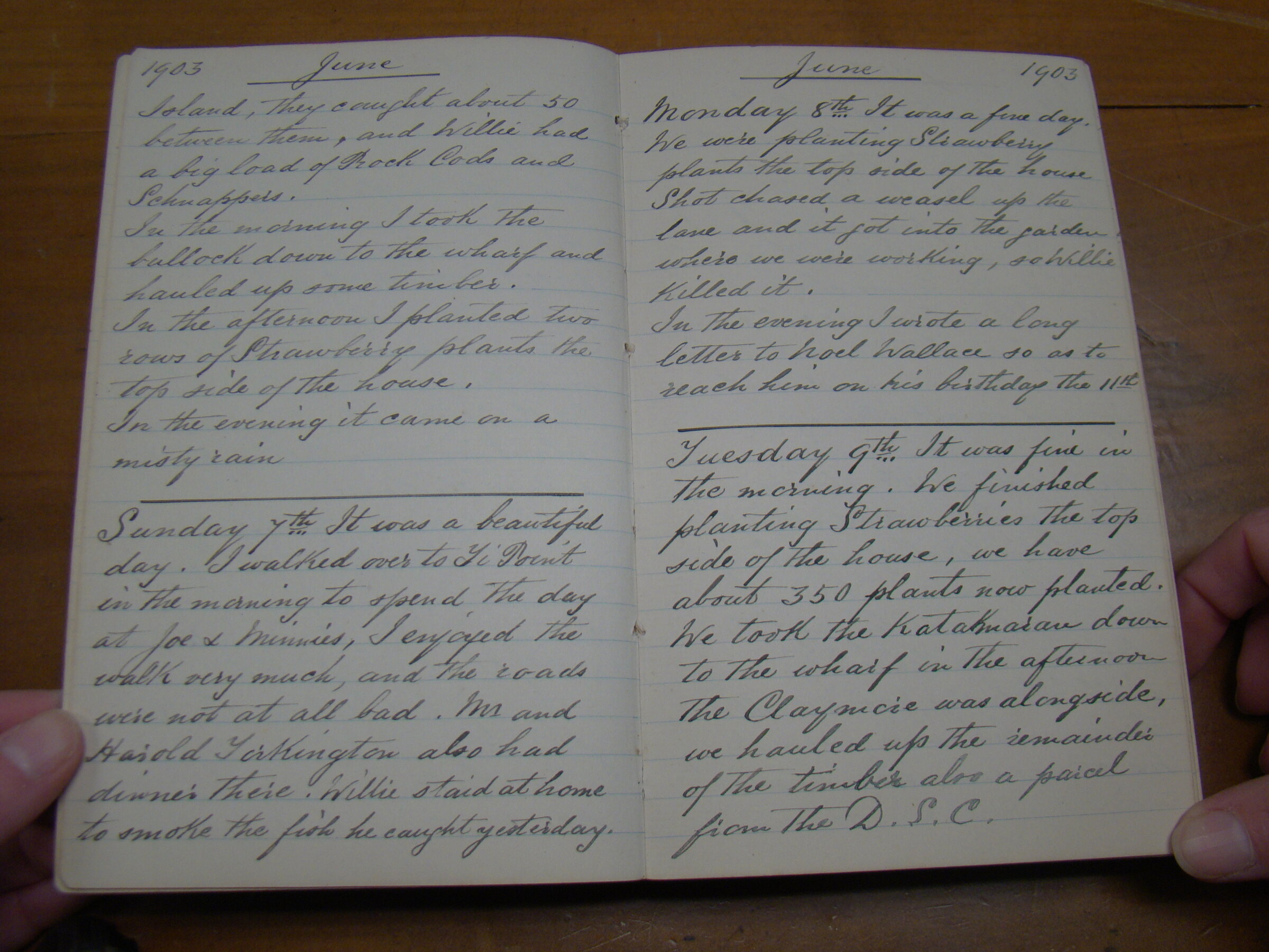 Original CS Clarke diary page