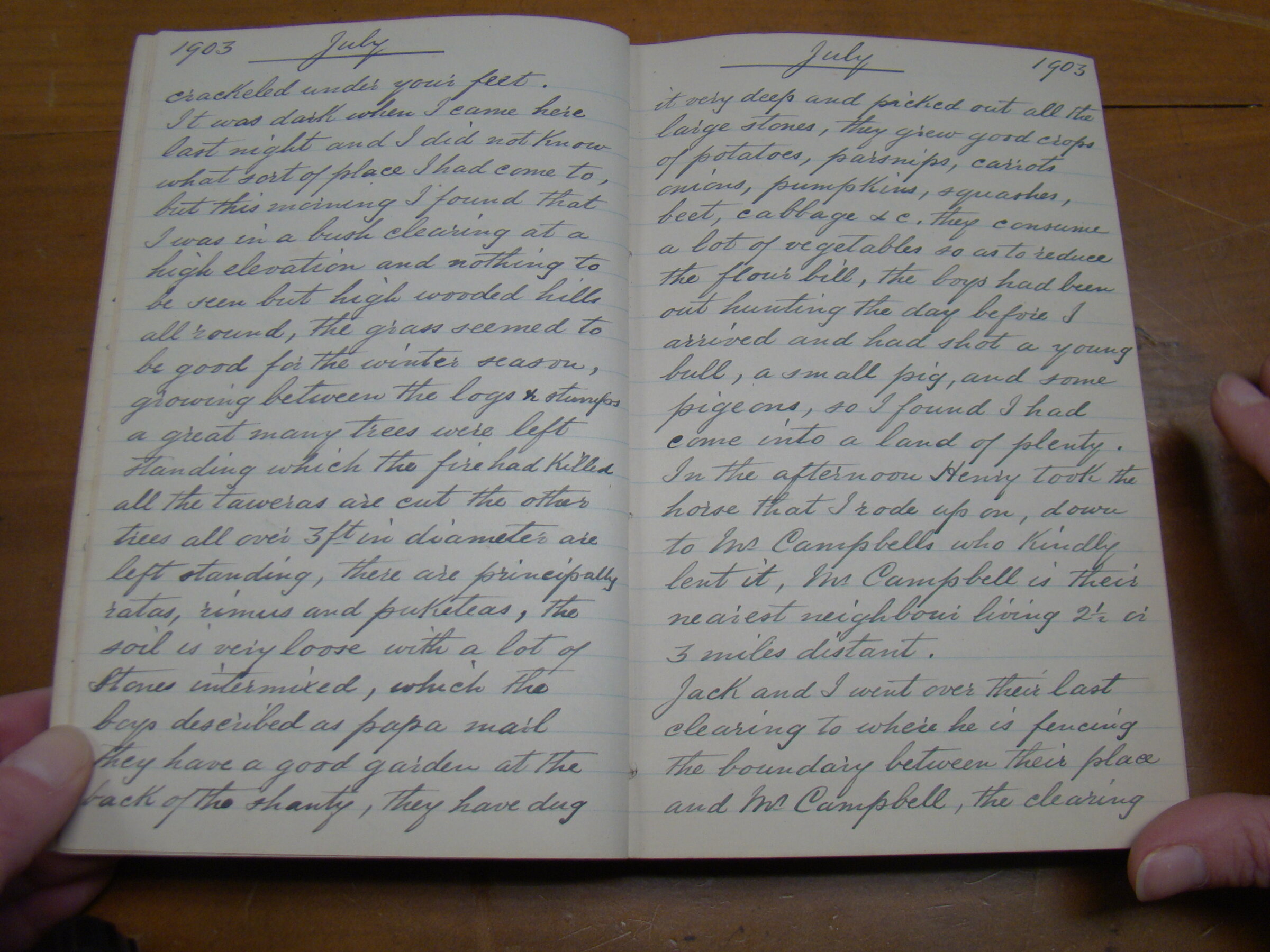 Original CS Clarke diary page