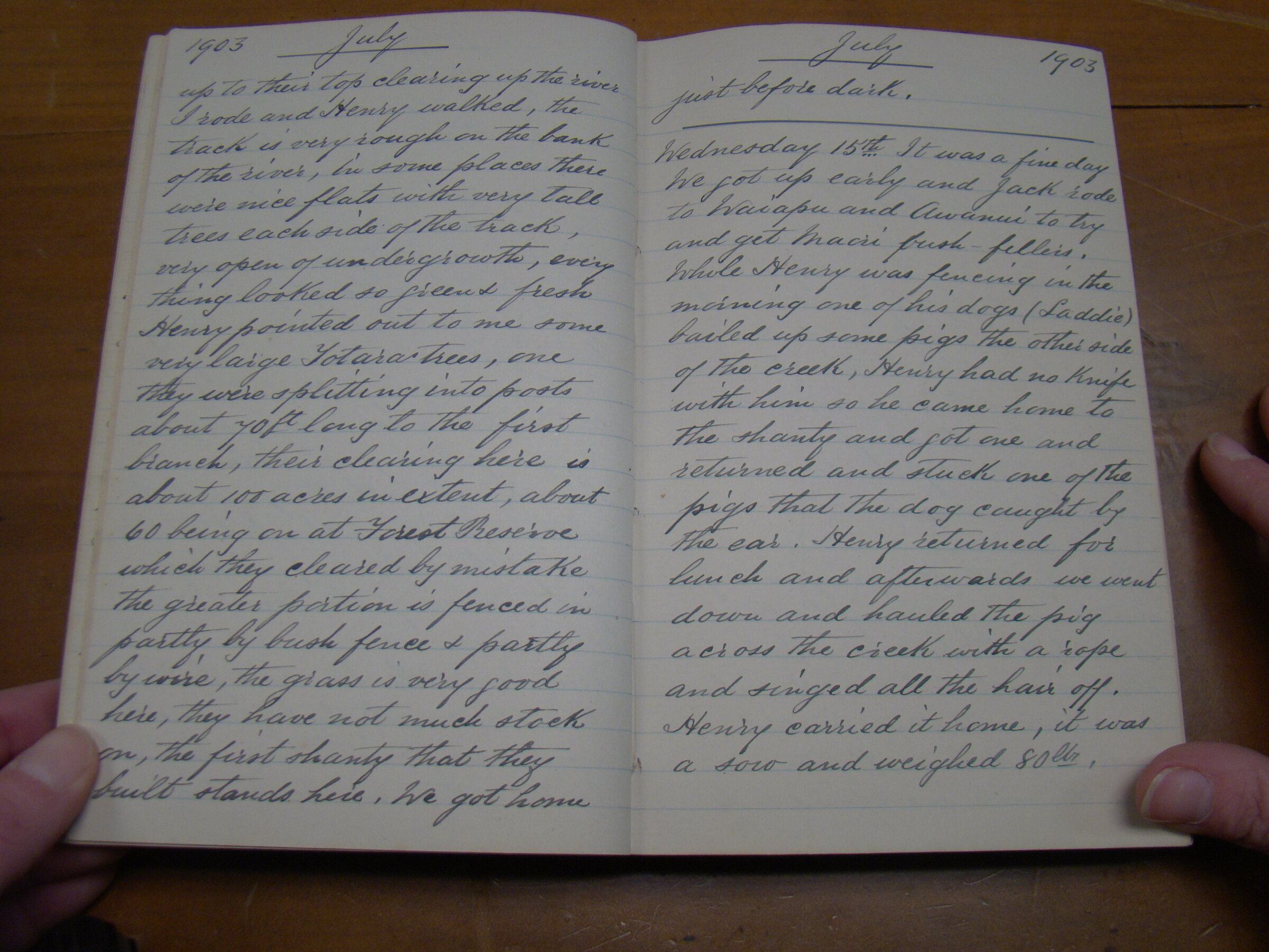 Original CS Clarke diary page