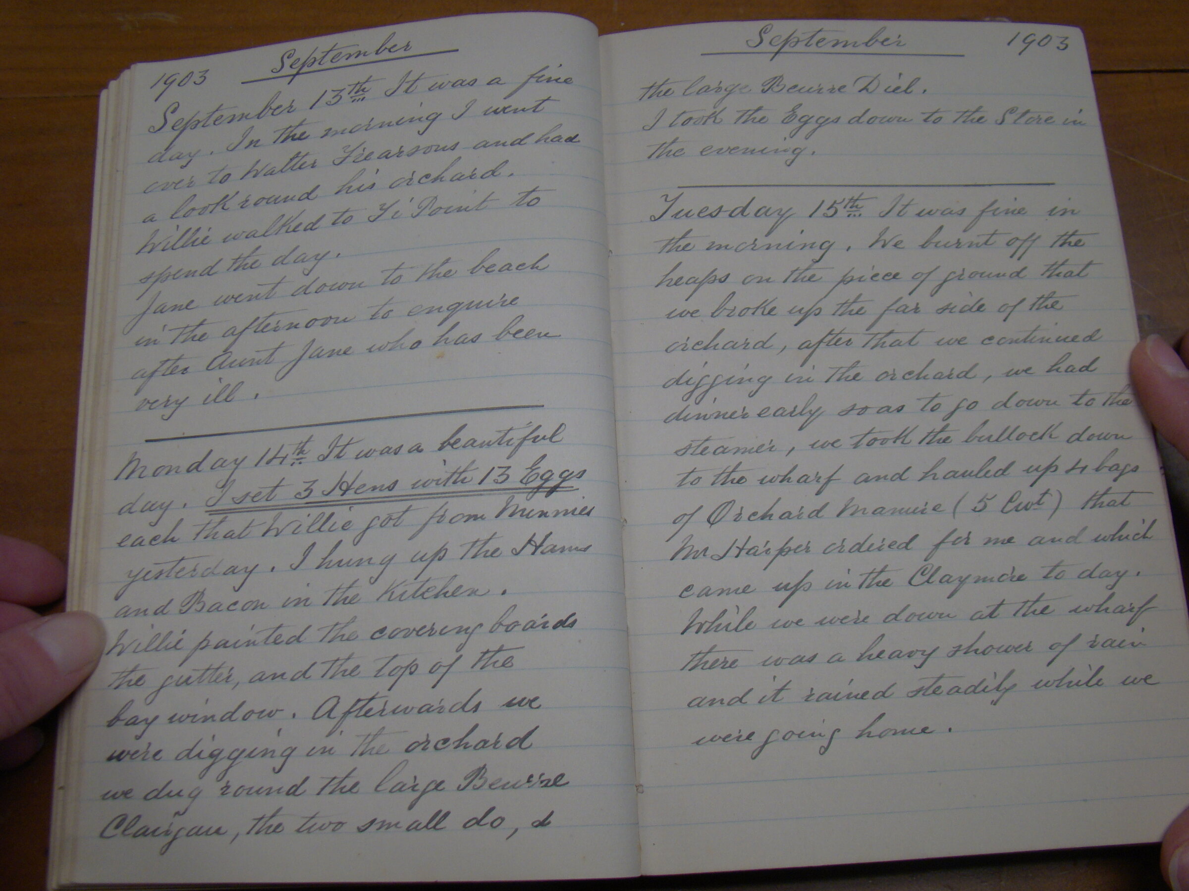 Original CS Clarke diary page