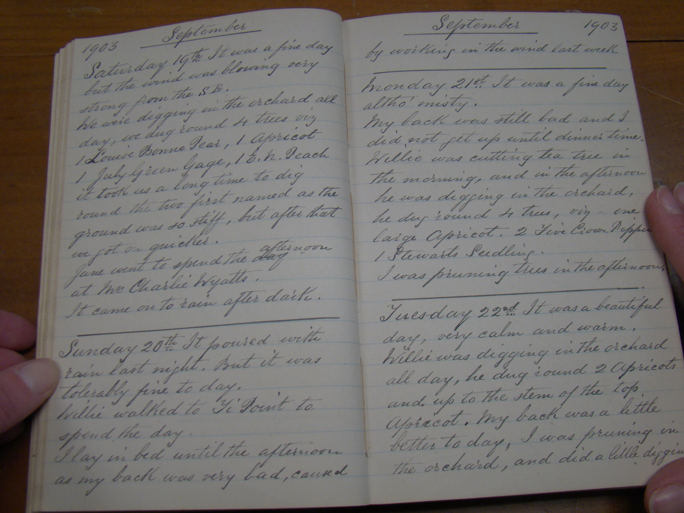 Original CS Clarke diary page