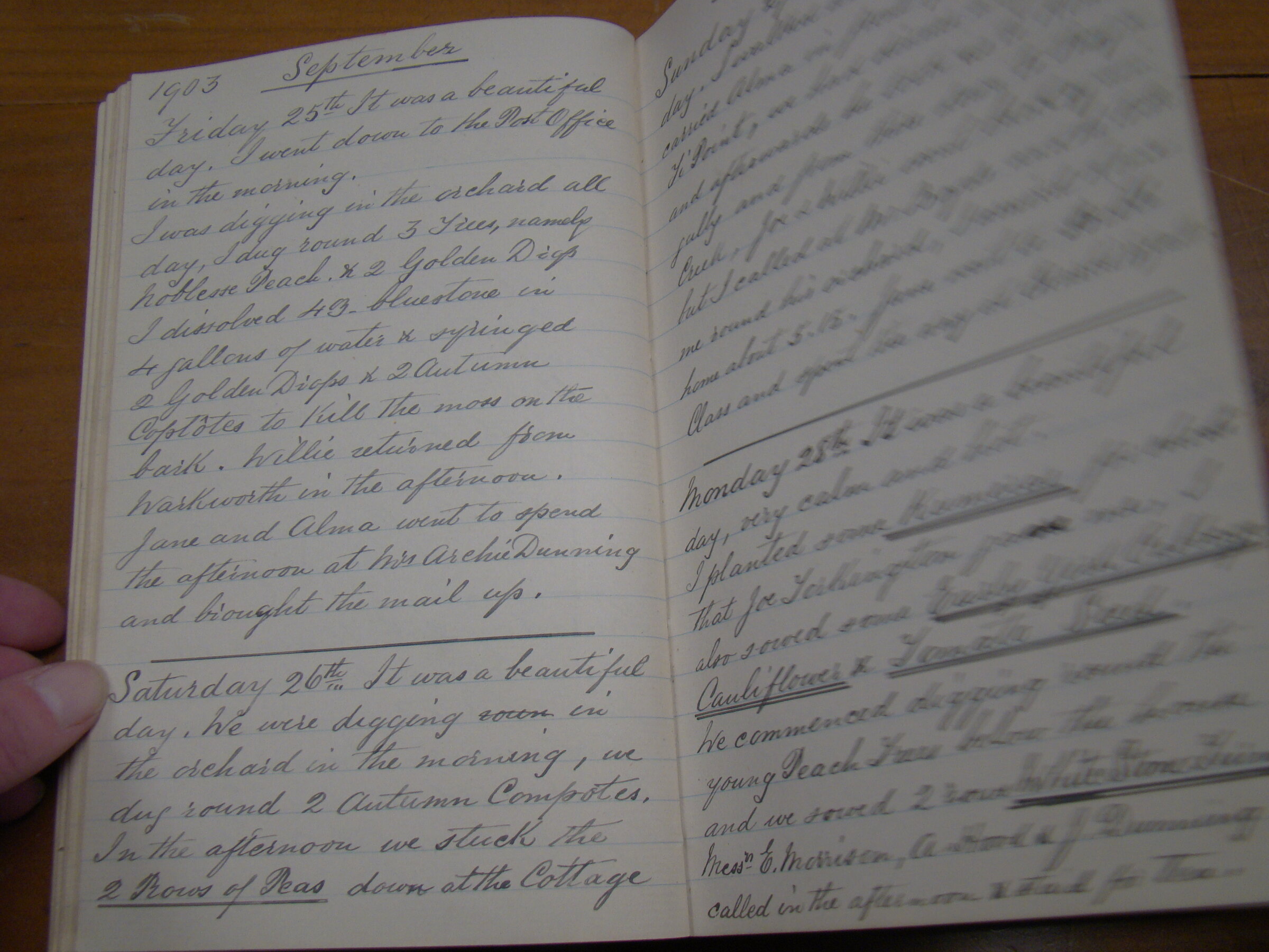 Original CS Clarke diary page