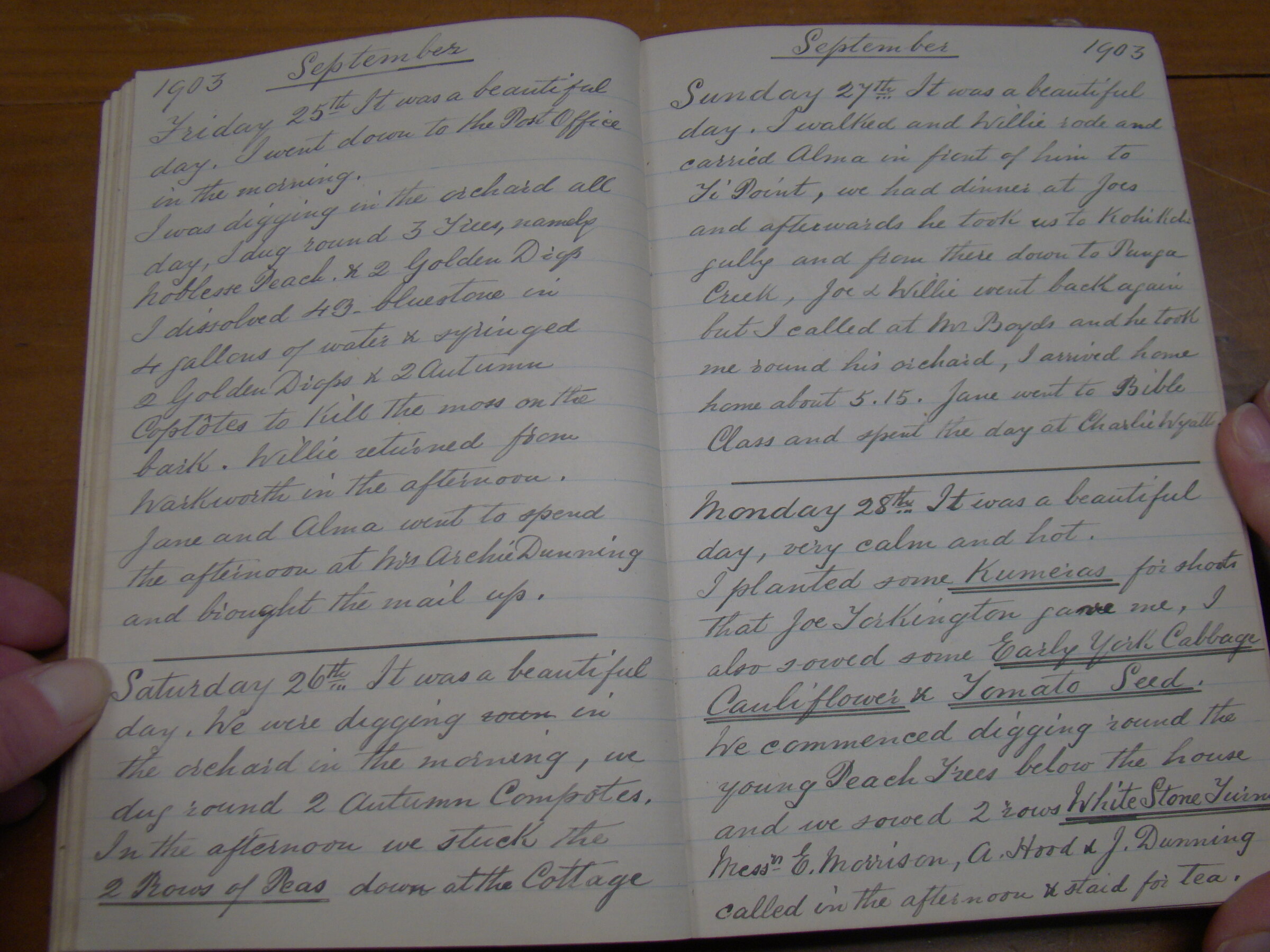 Original CS Clarke diary page