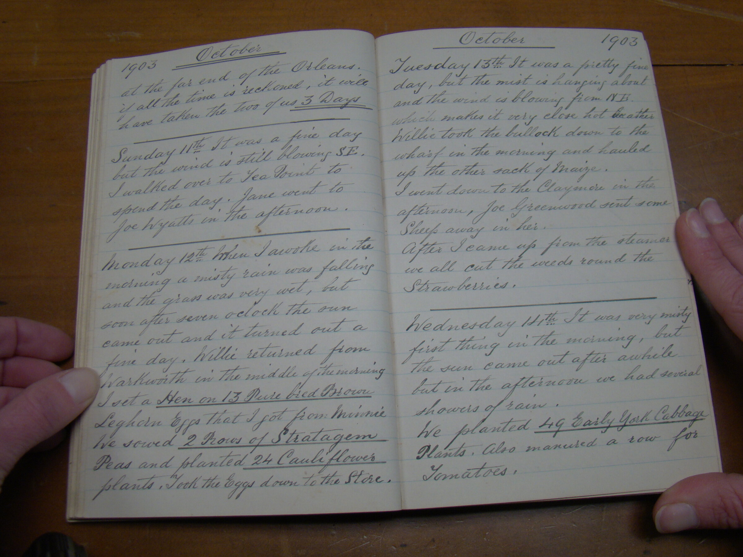 Original CS Clarke diary page