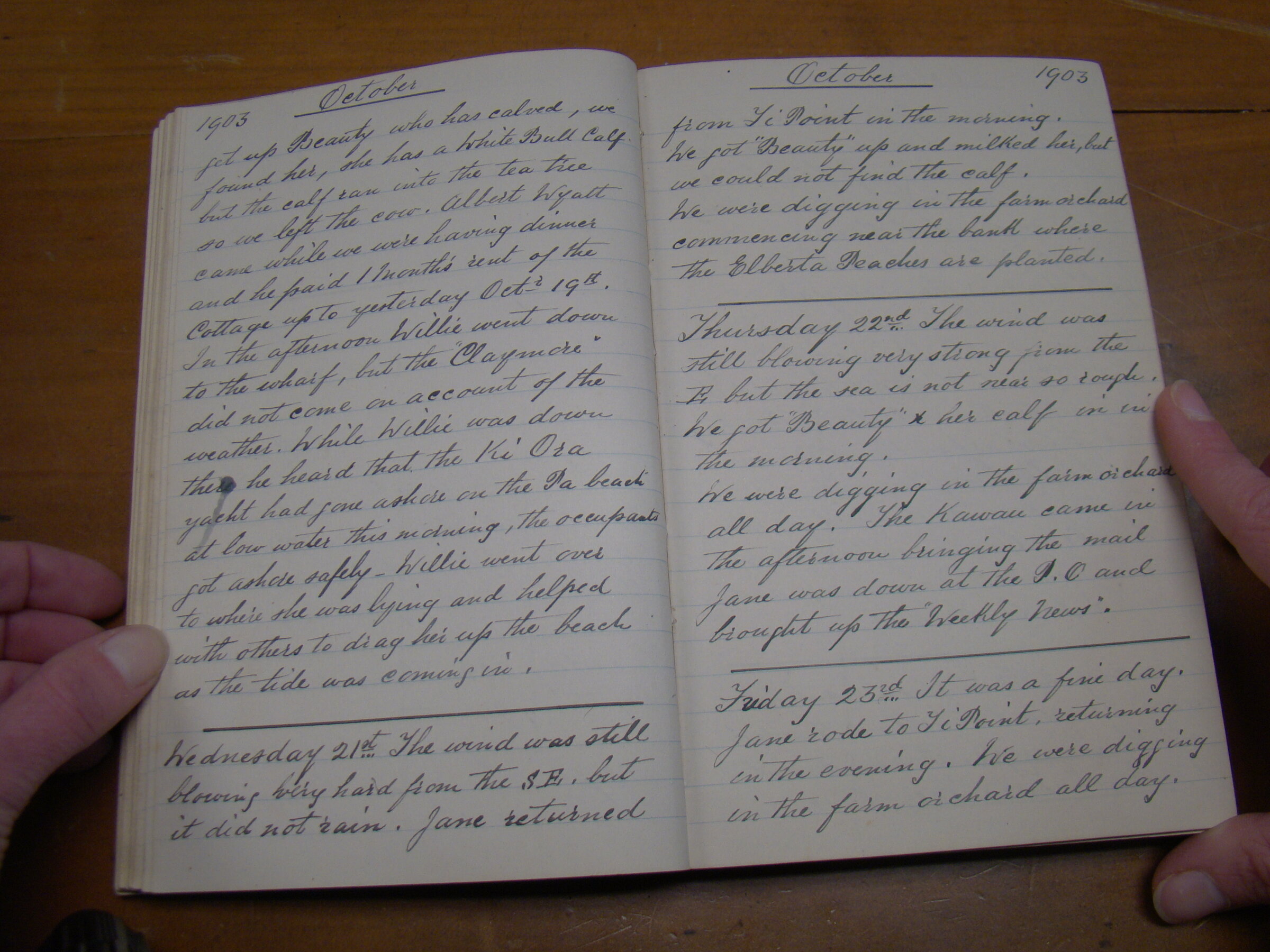 Original CS Clarke diary page