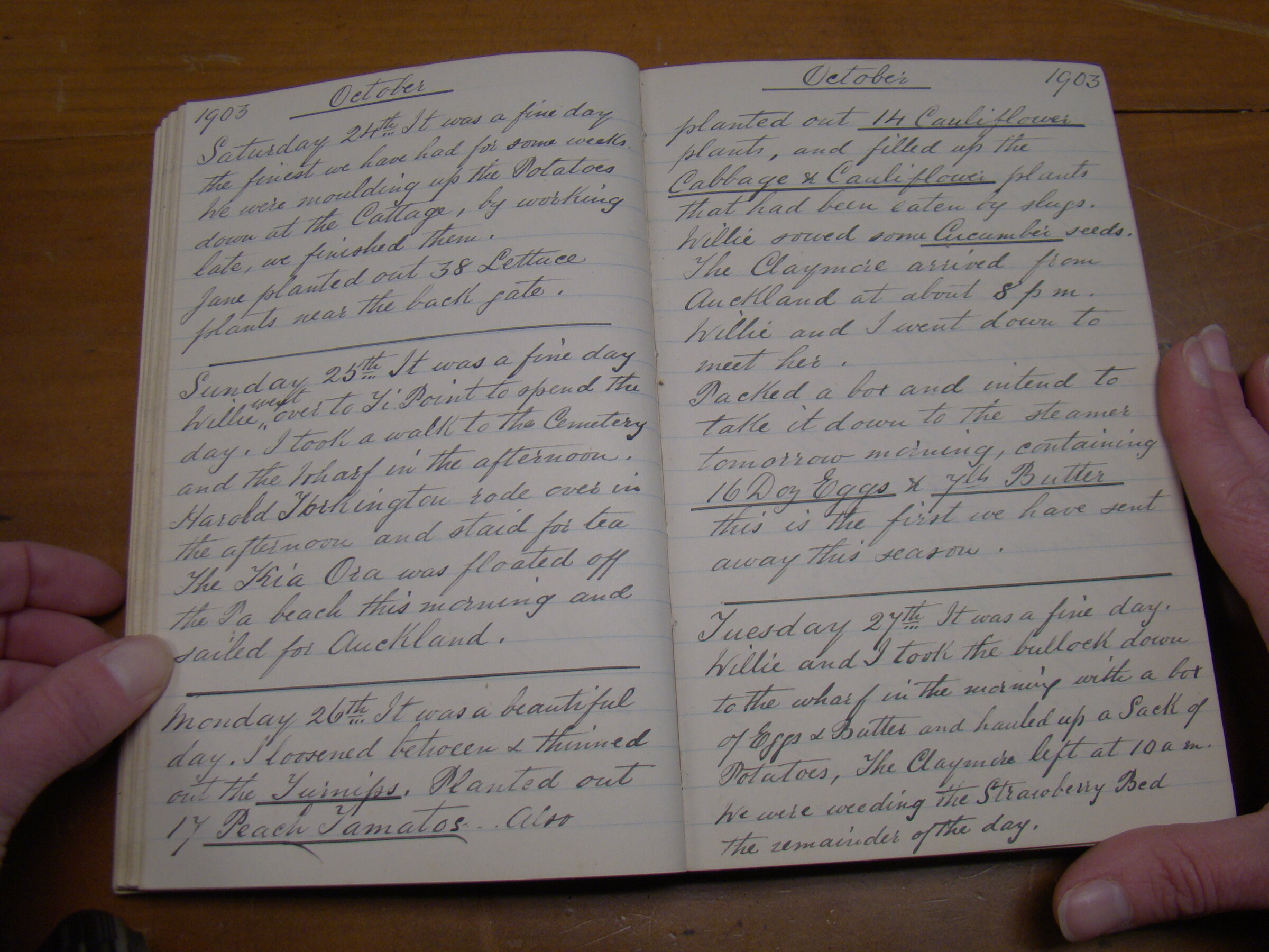 Original CS Clarke diary page