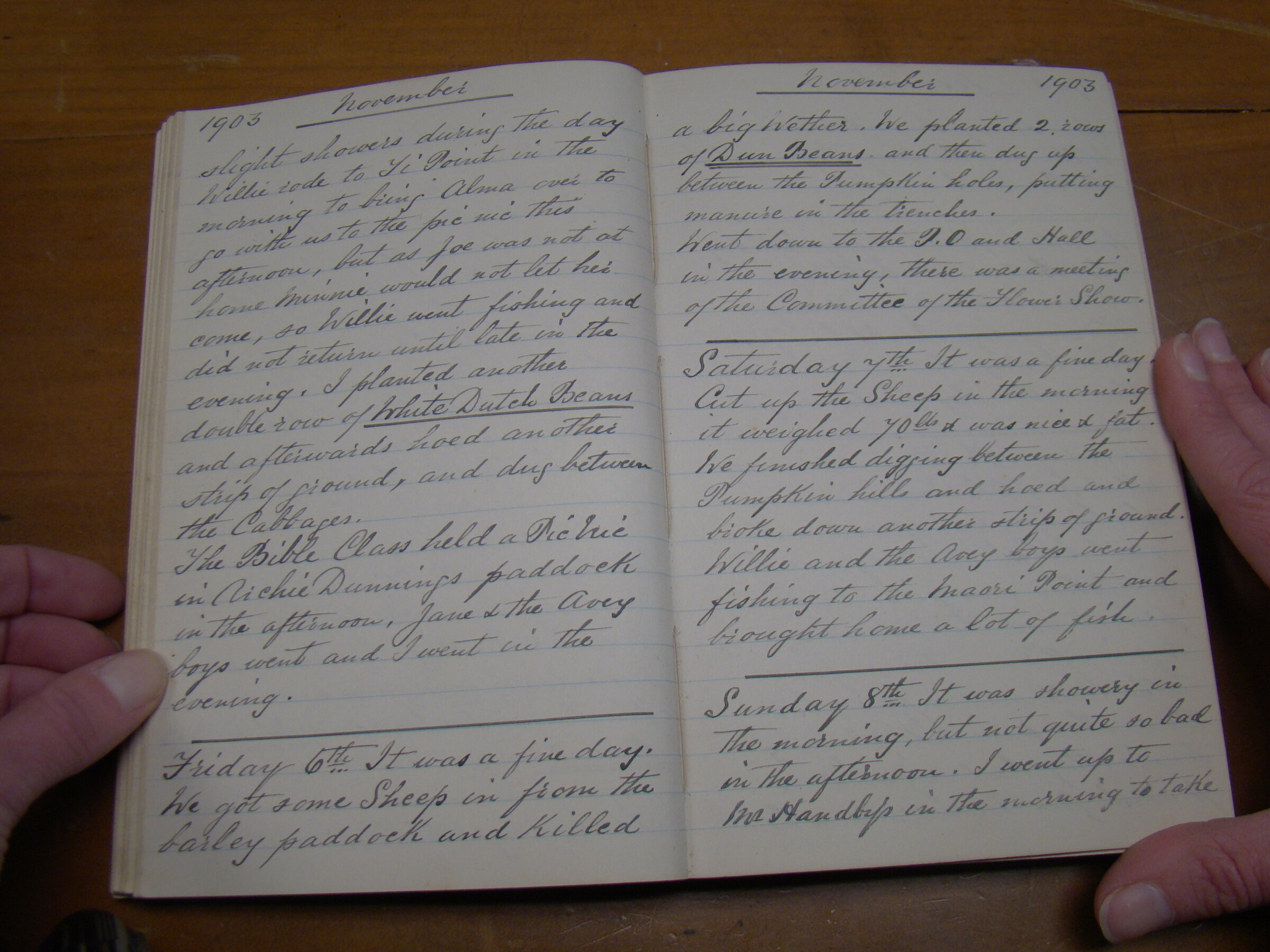 Original CS Clarke diary page
