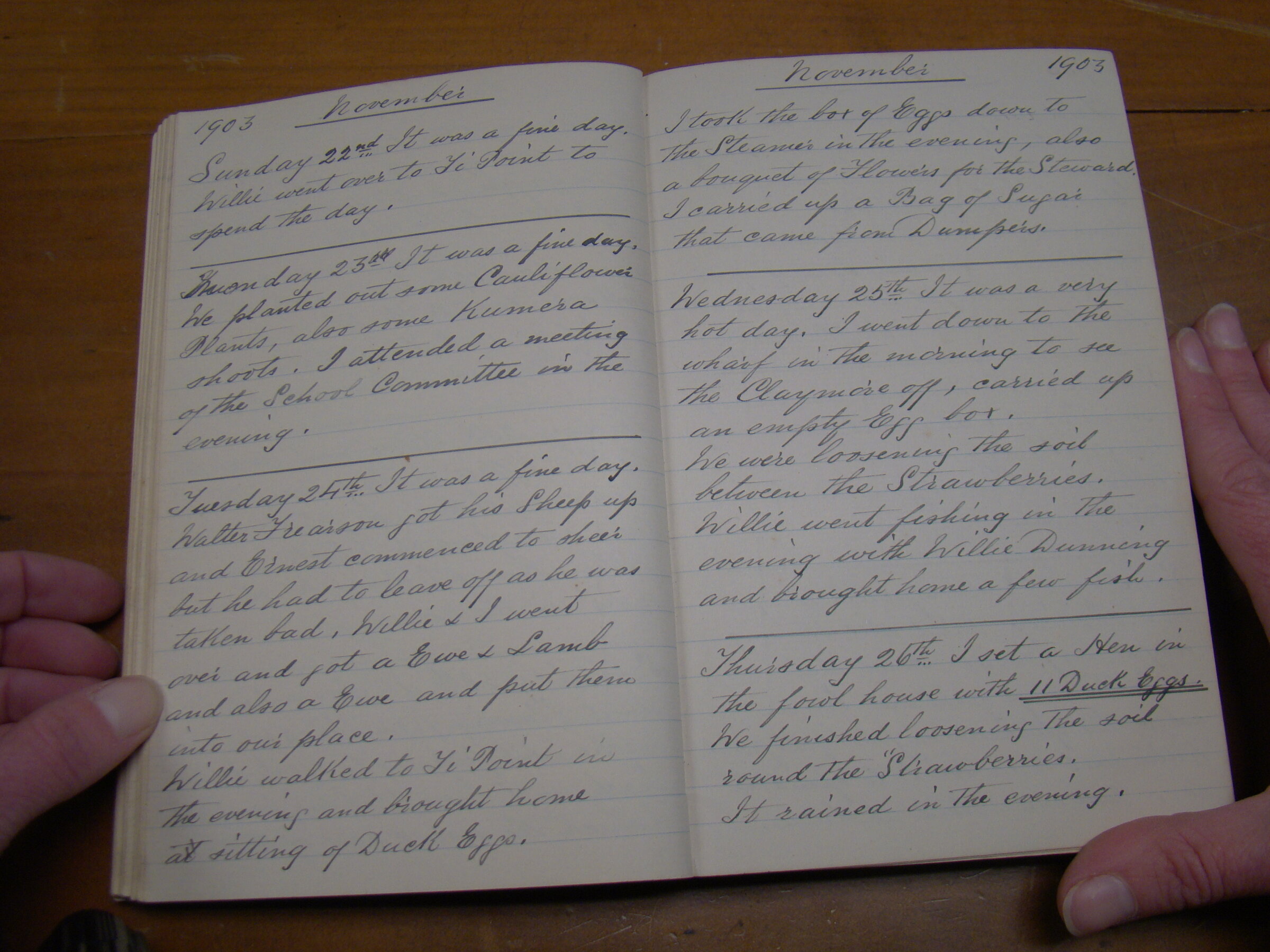 Original CS Clarke diary page