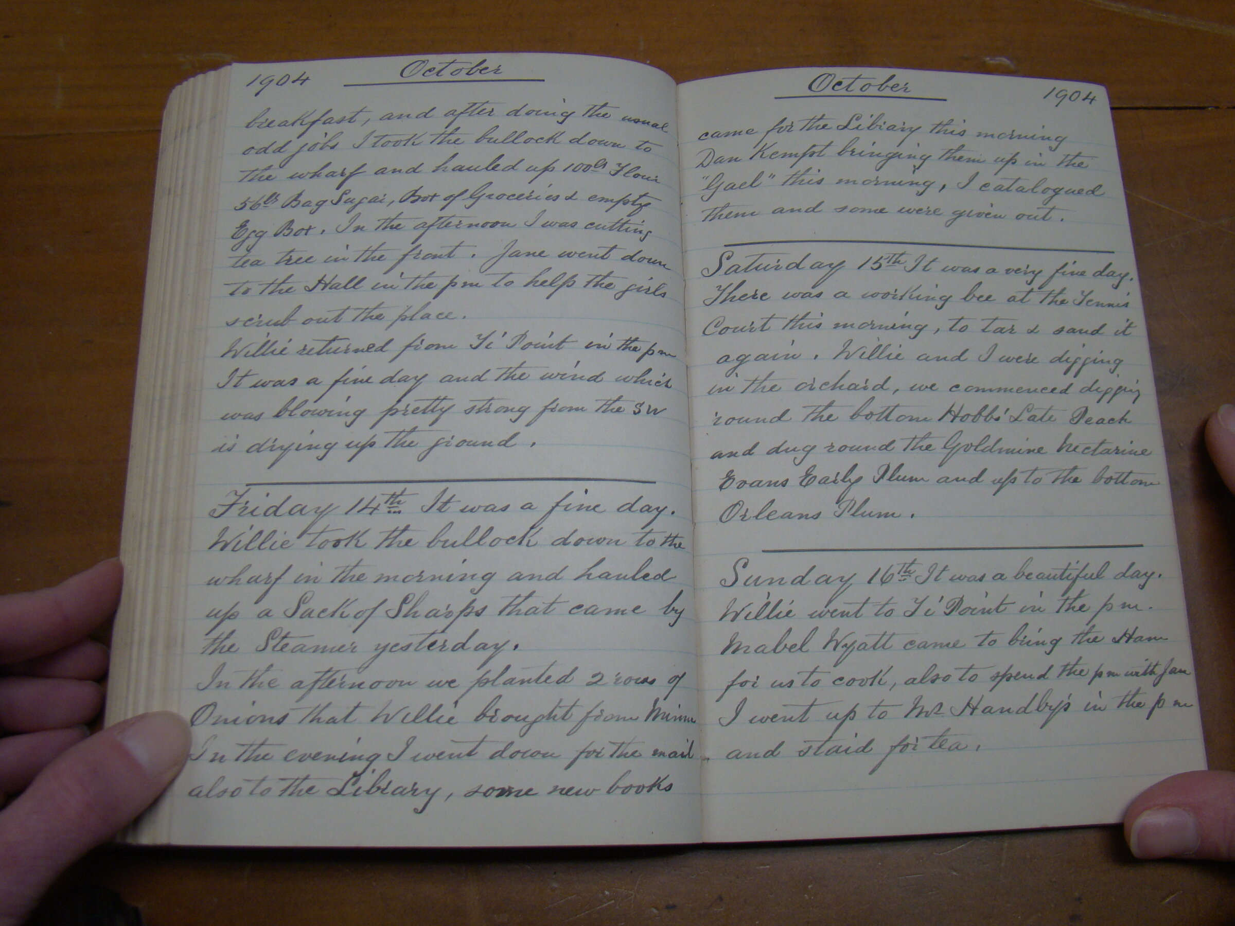 Original CS Clarke diary page