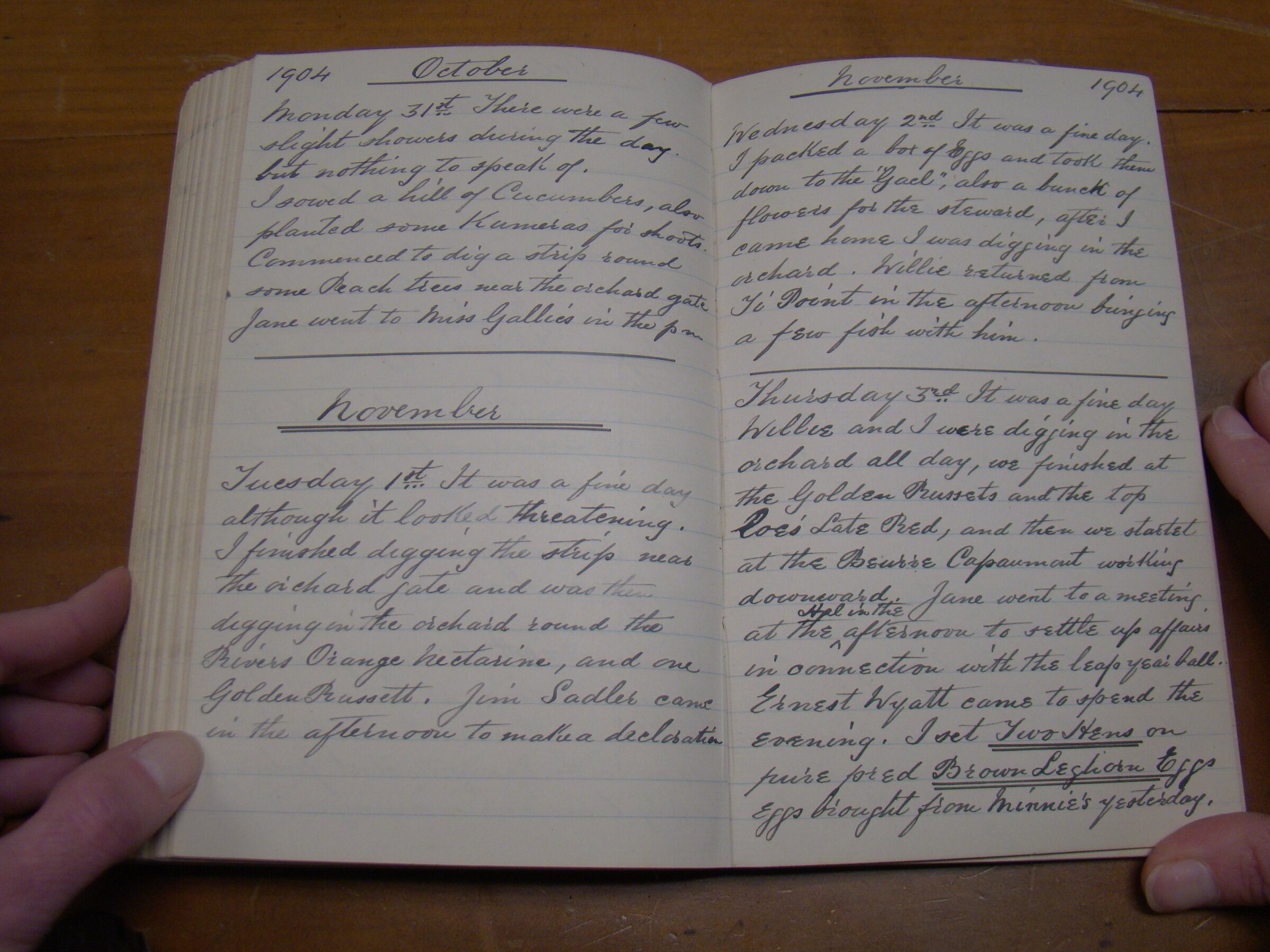 Original CS Clarke diary page