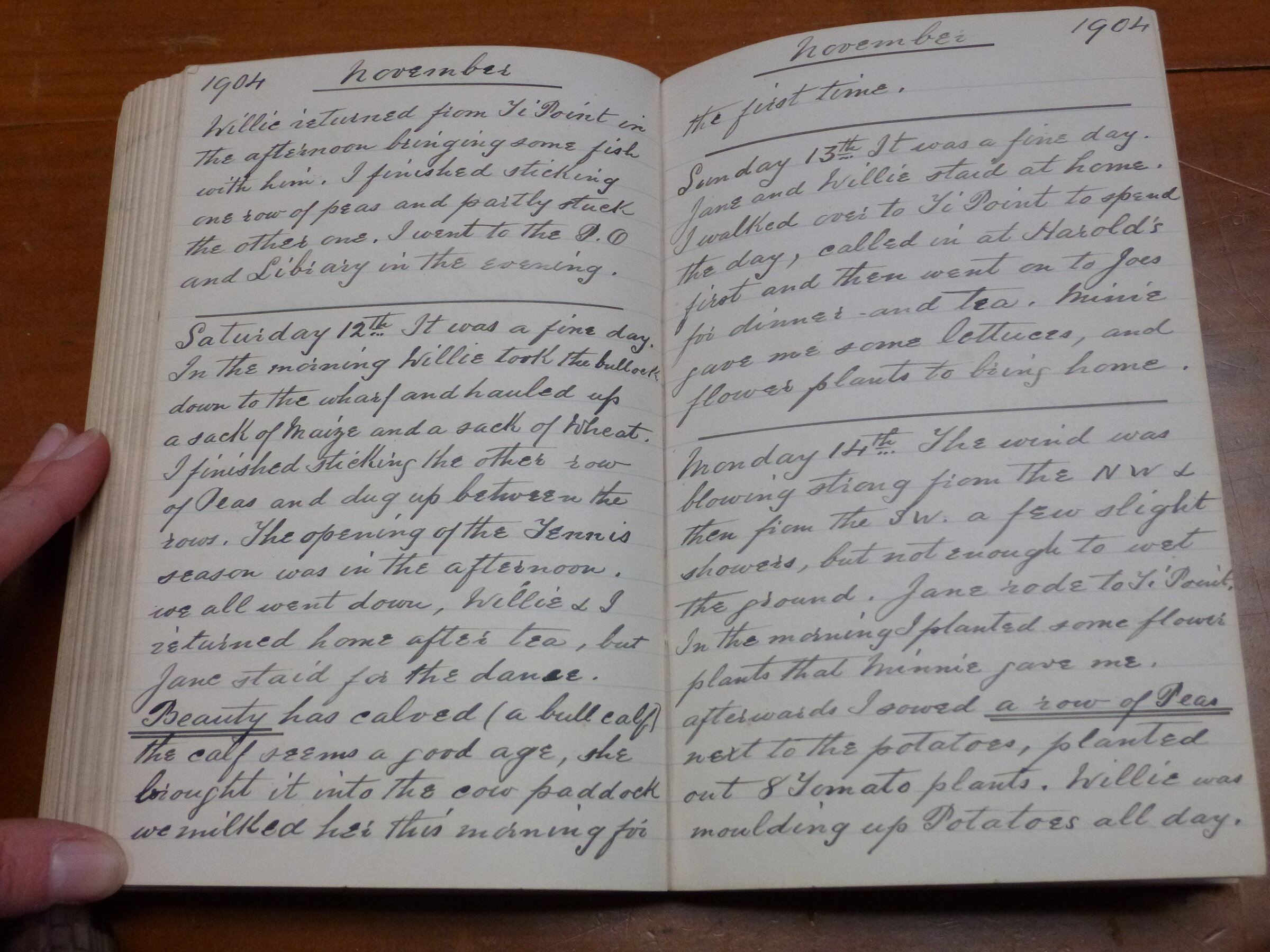 Original CS Clarke diary page
