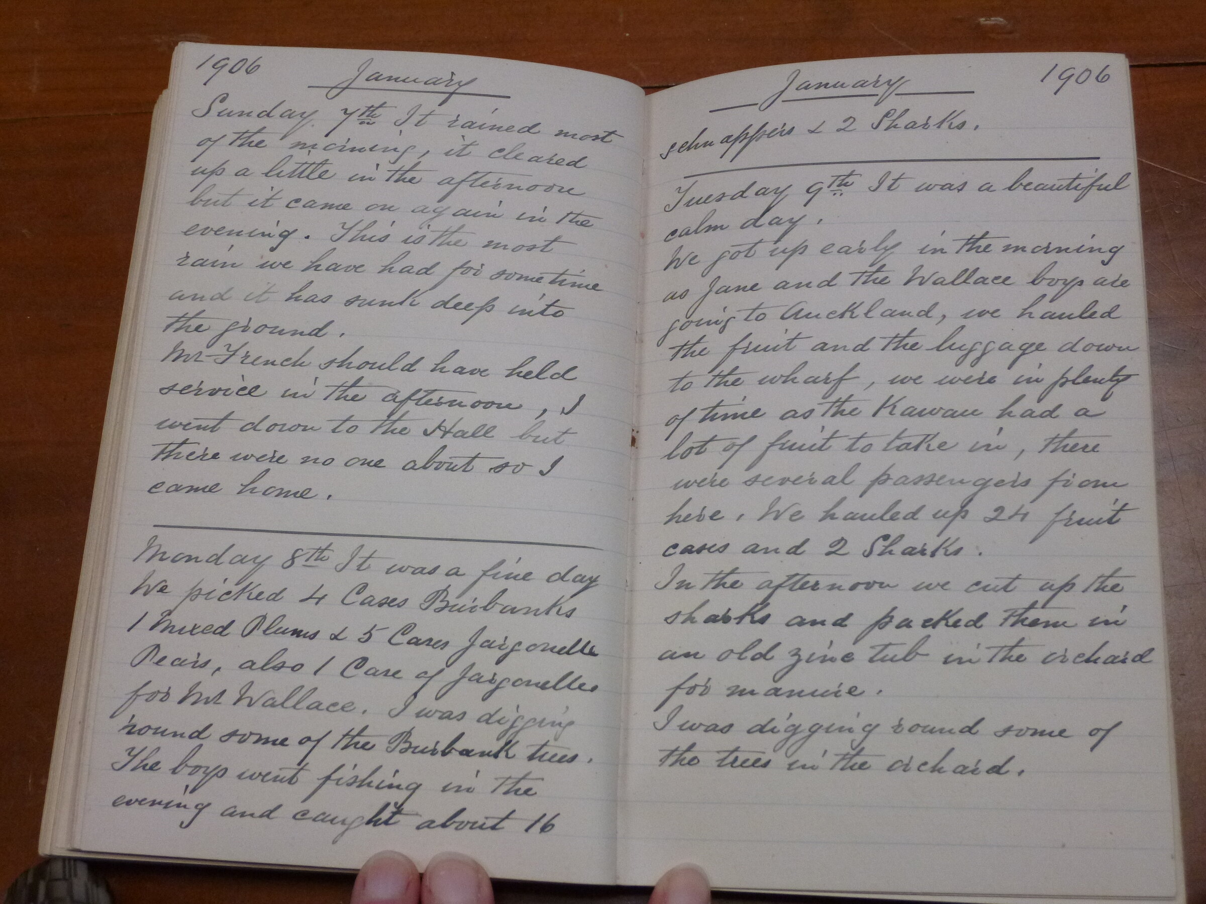 Original CS Clarke diary page