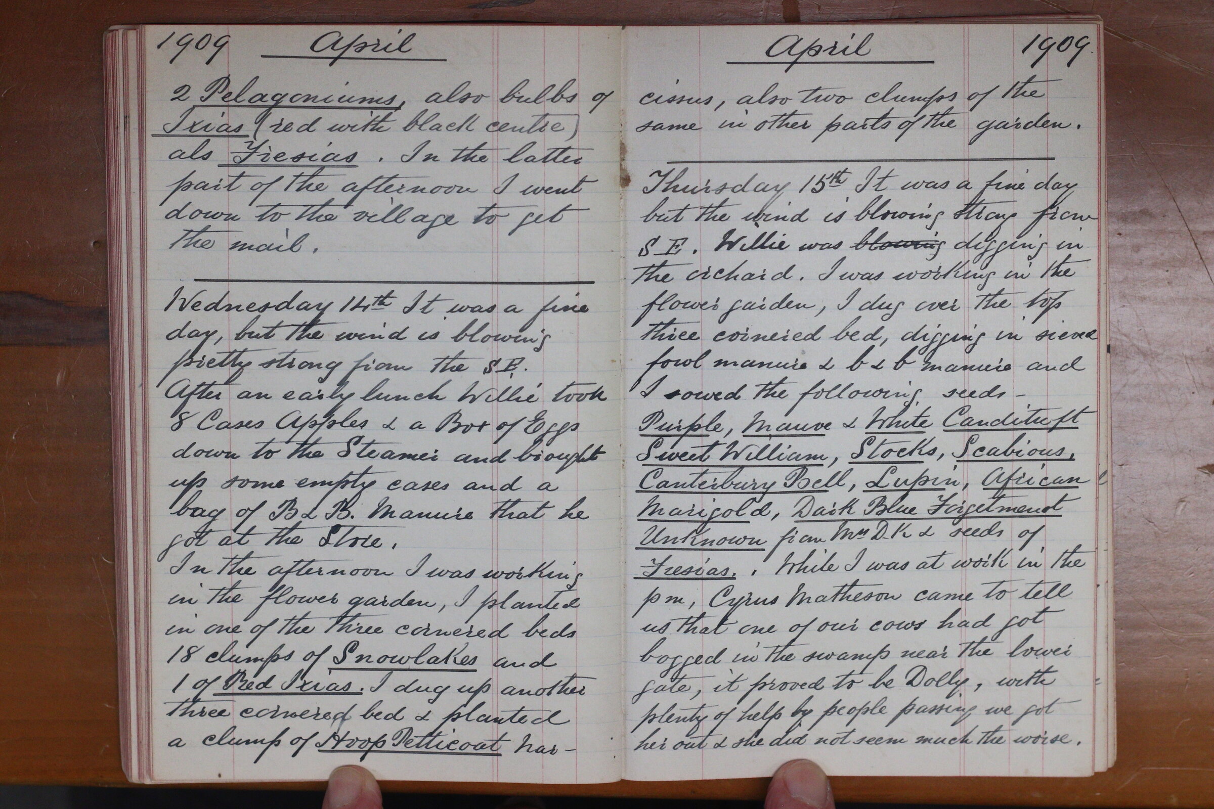 Original CS Clarke diary page