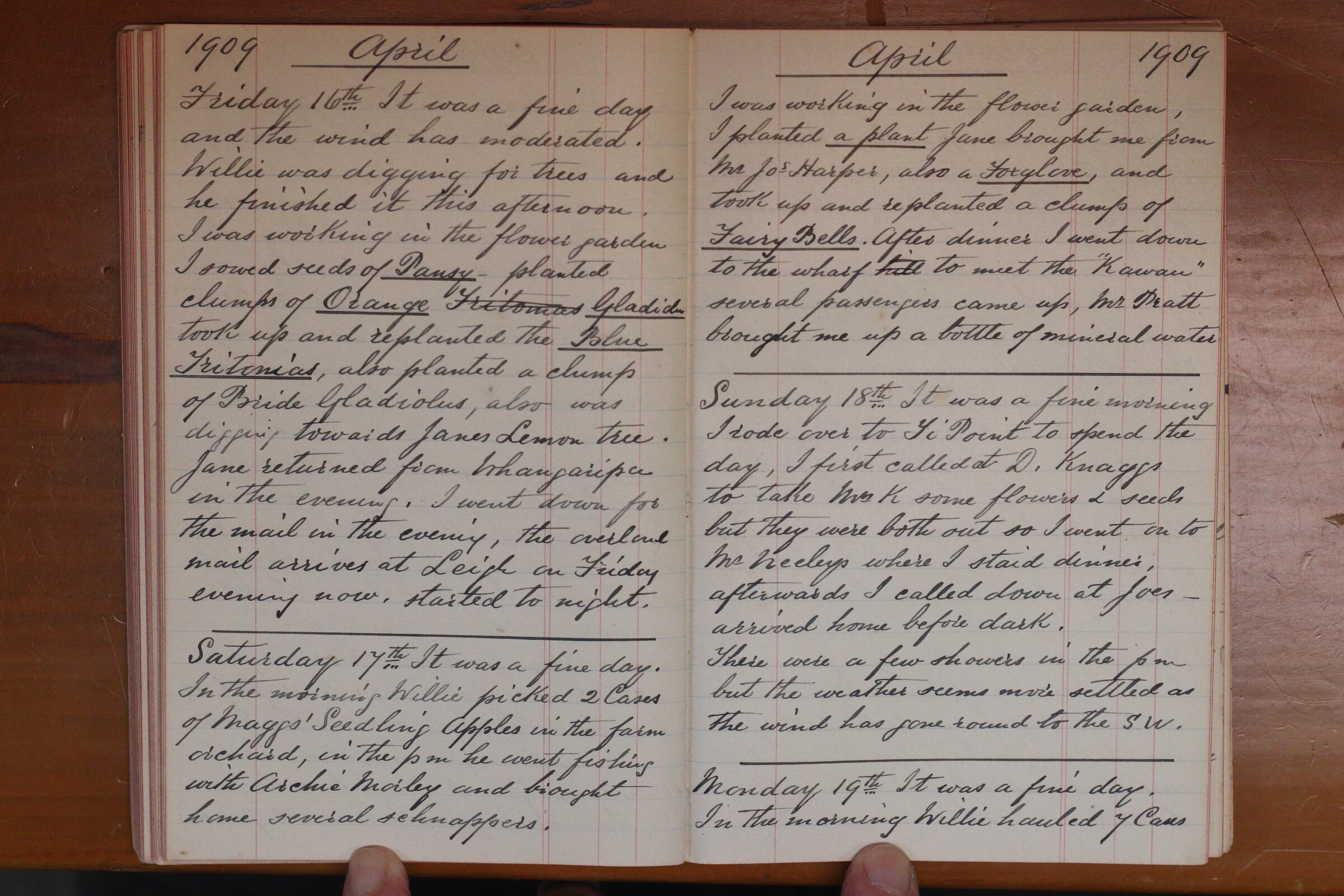 Original CS Clarke diary page