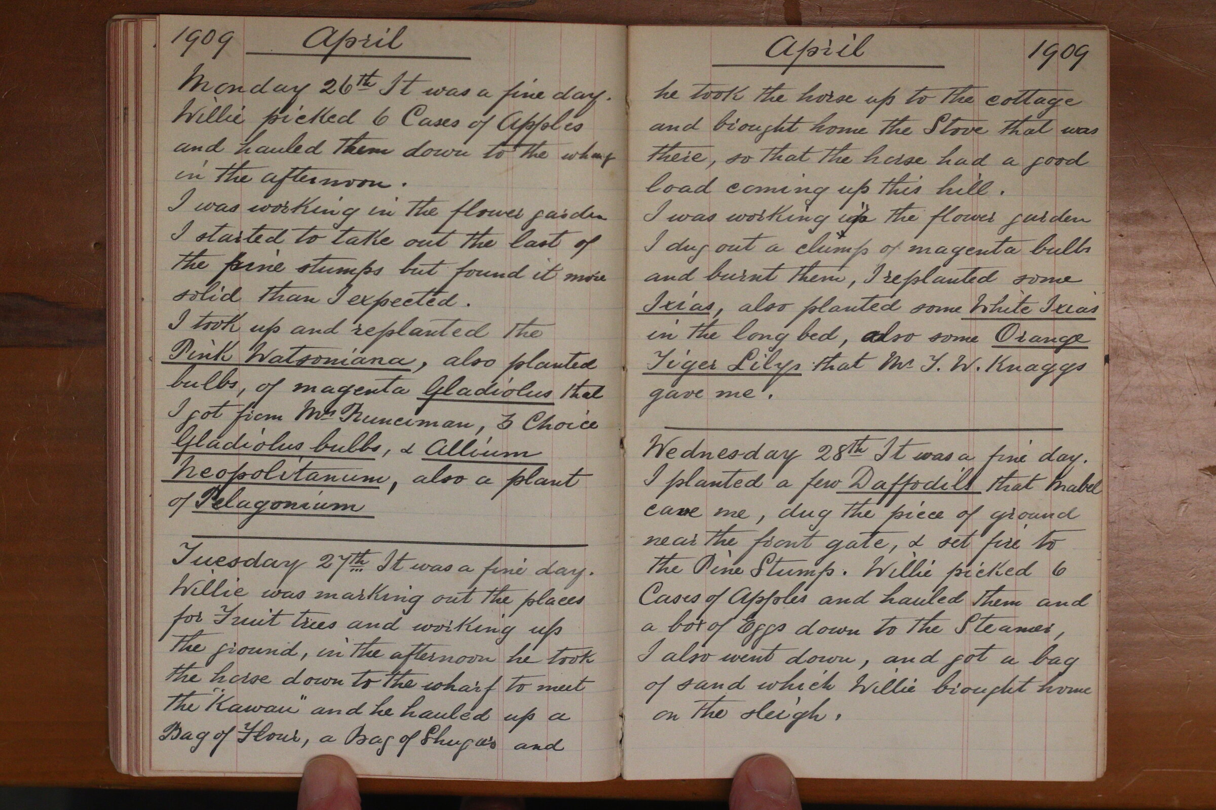 Original CS Clarke diary page