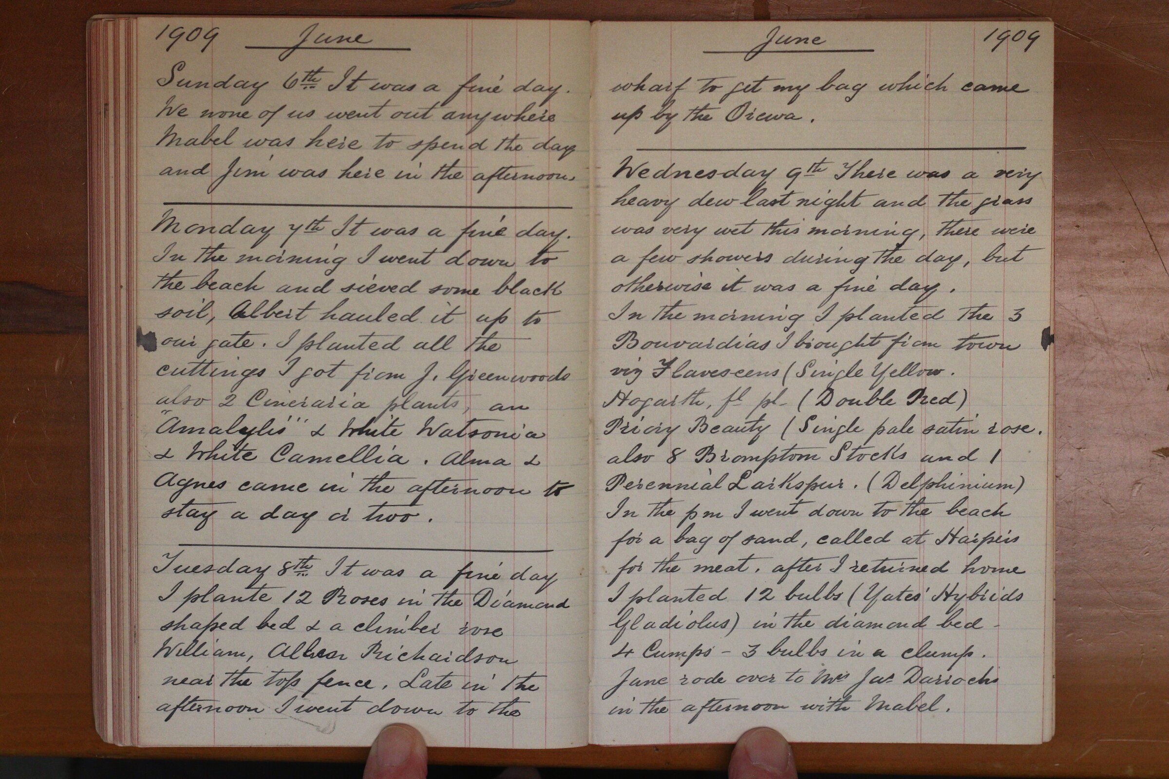 Original CS Clarke diary page
