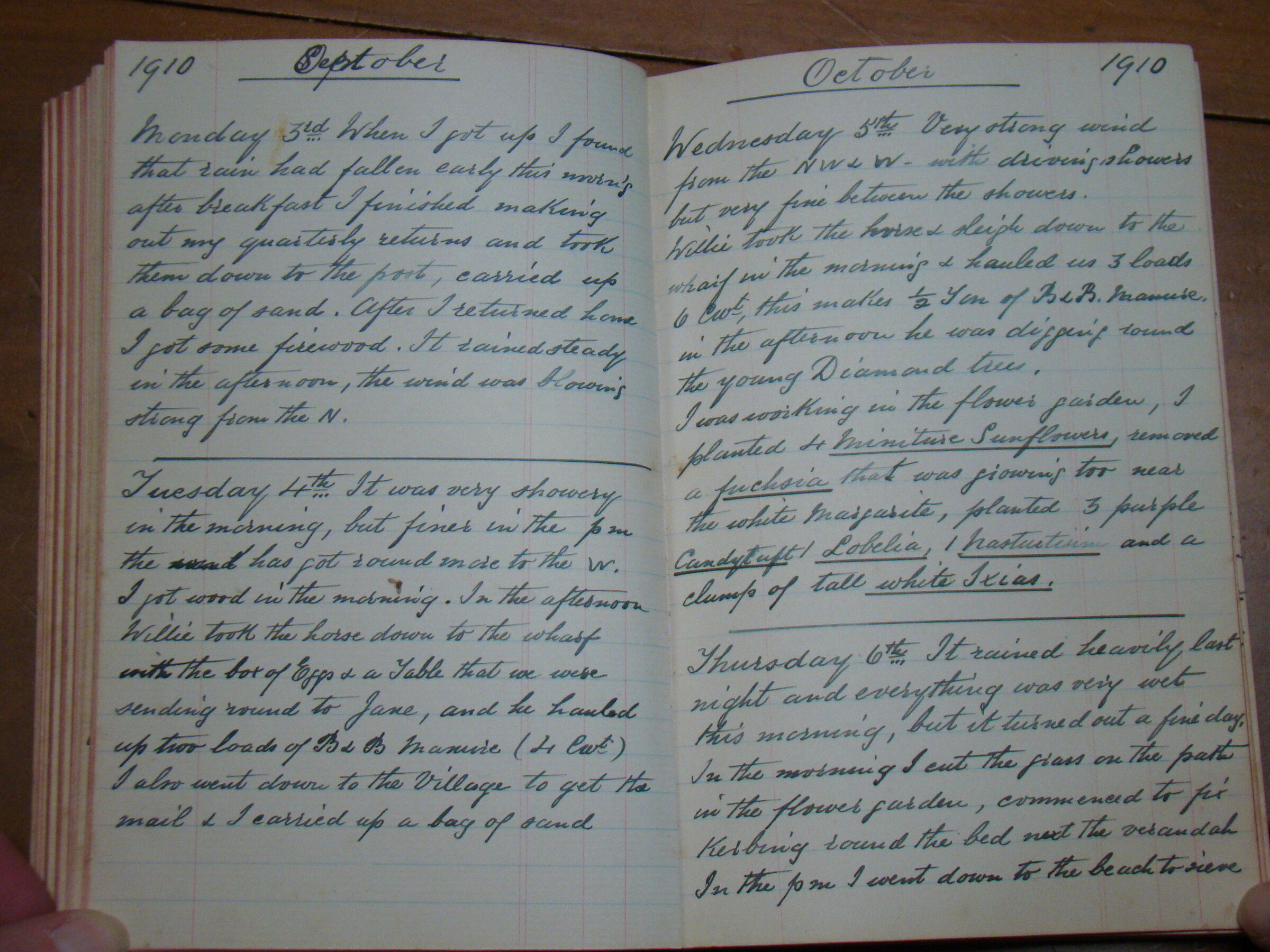 Original CS Clarke diary page