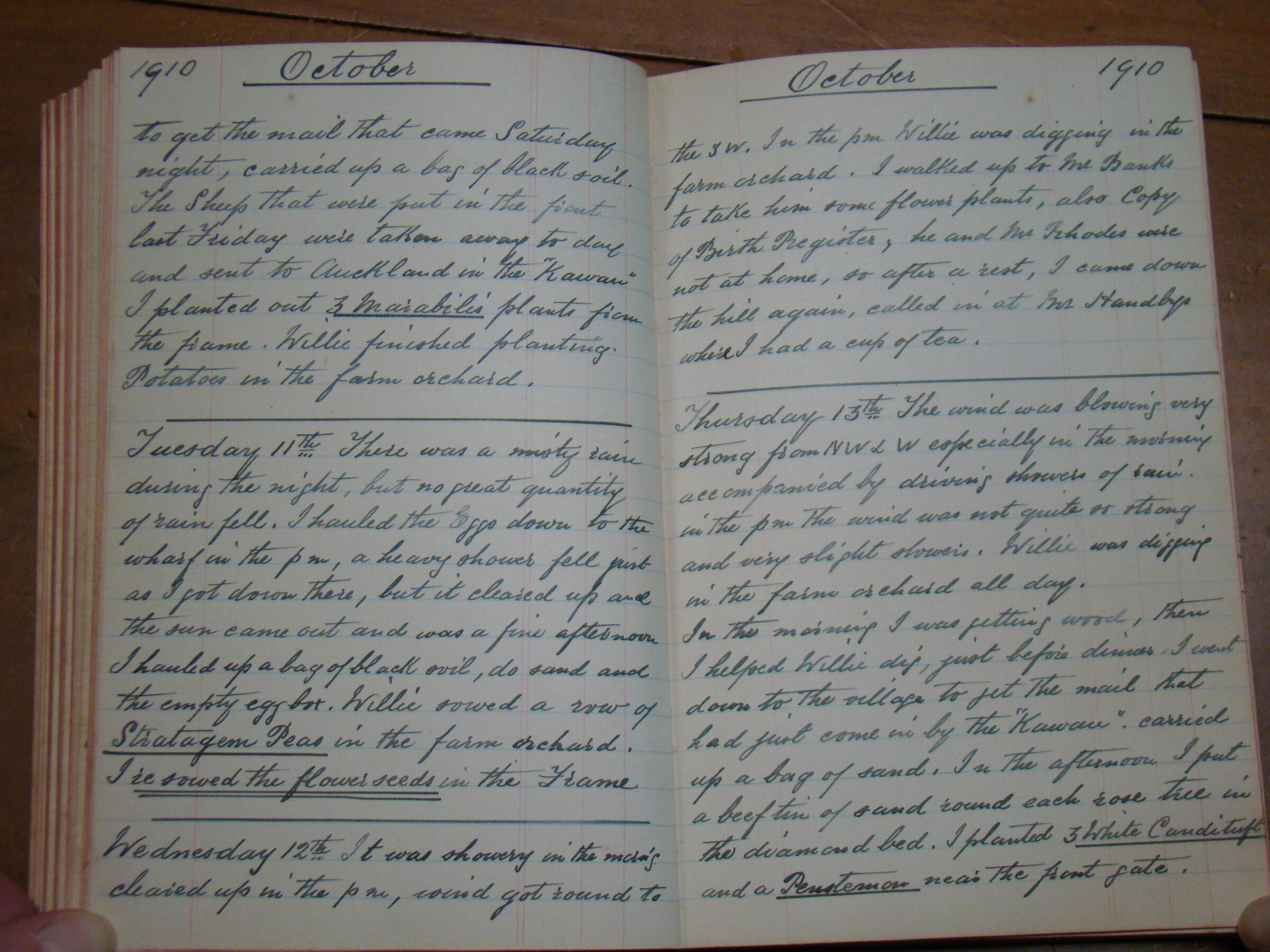 Original CS Clarke diary page