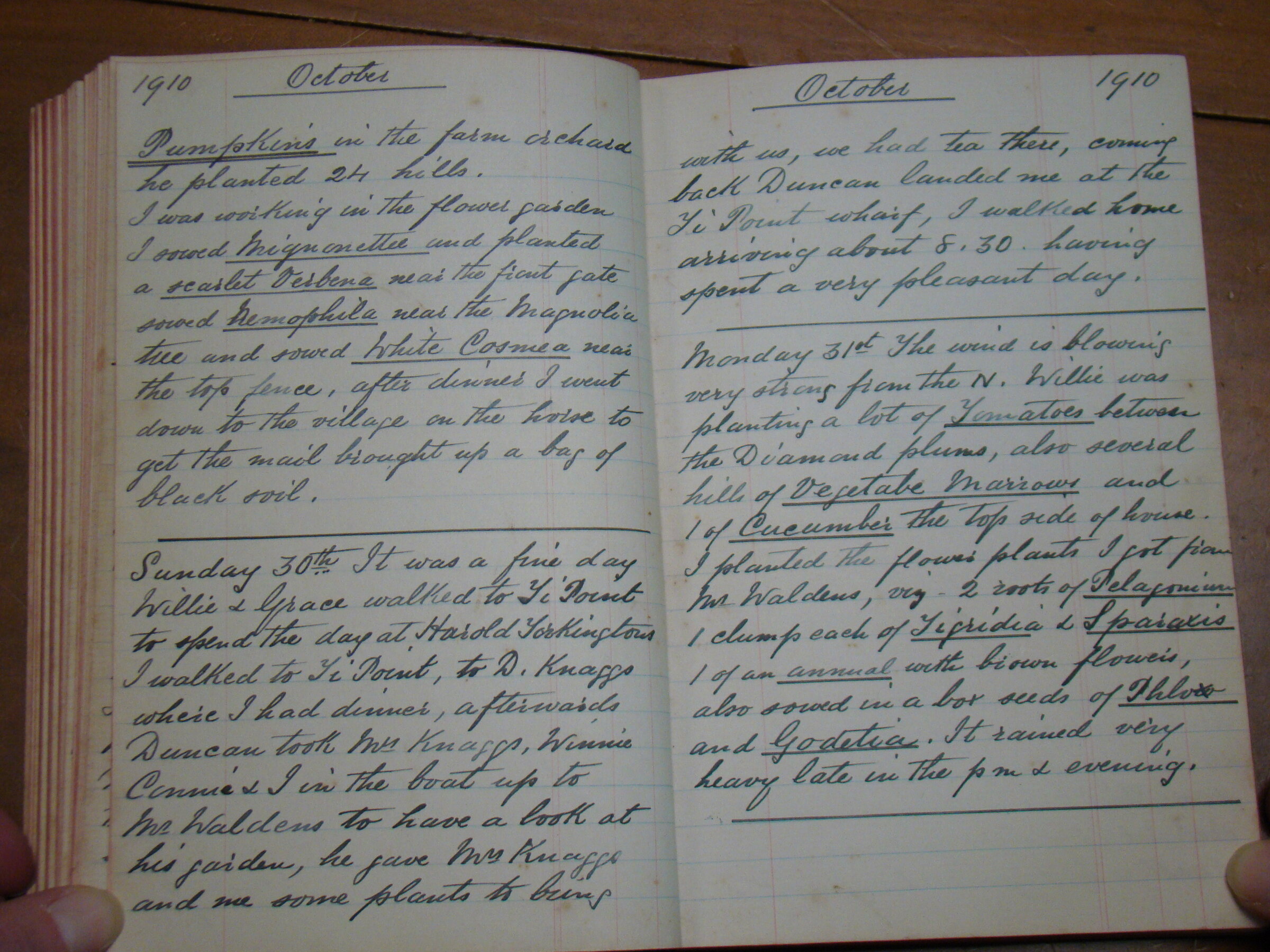 Original CS Clarke diary page