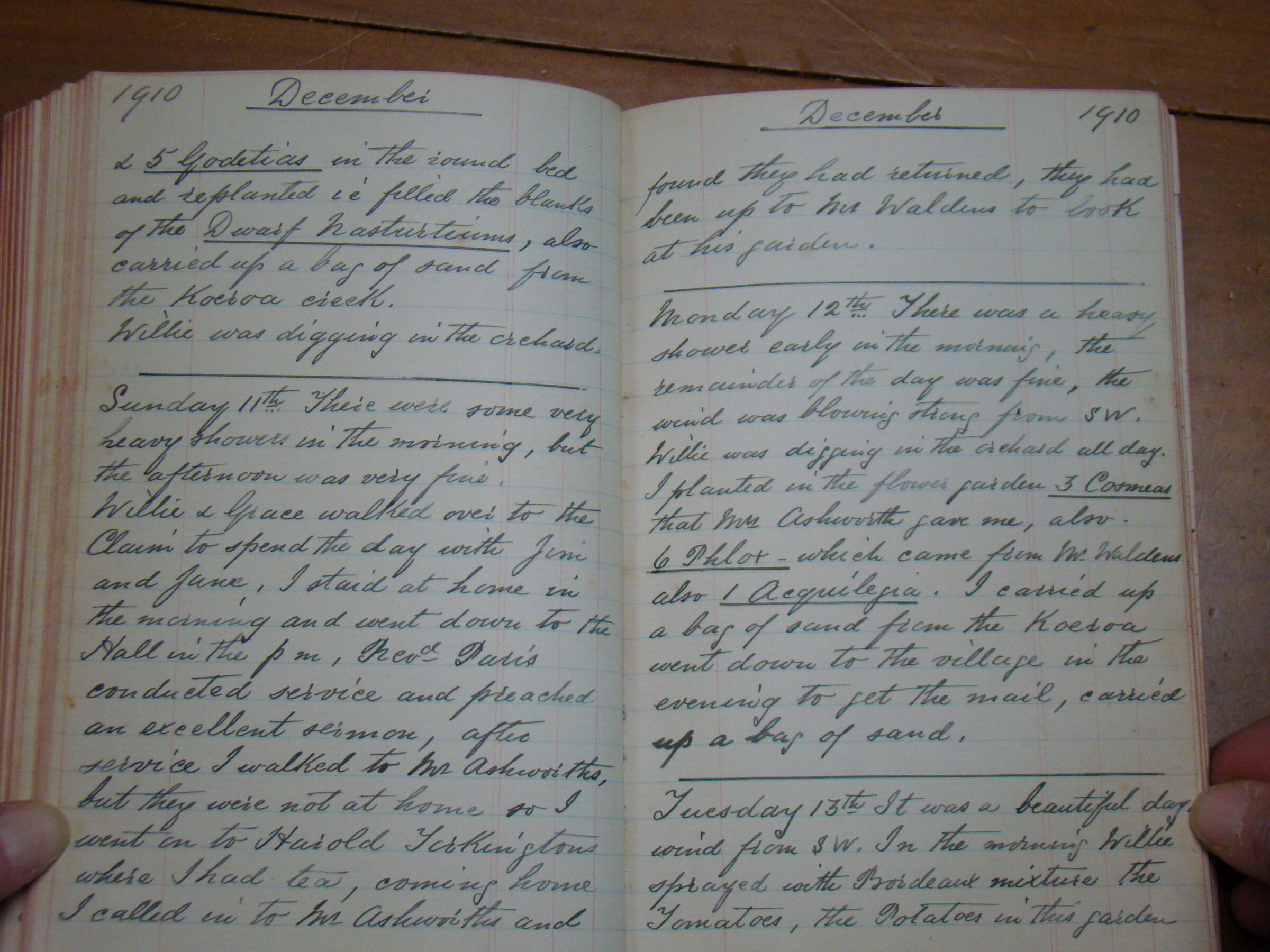 Original CS Clarke diary page