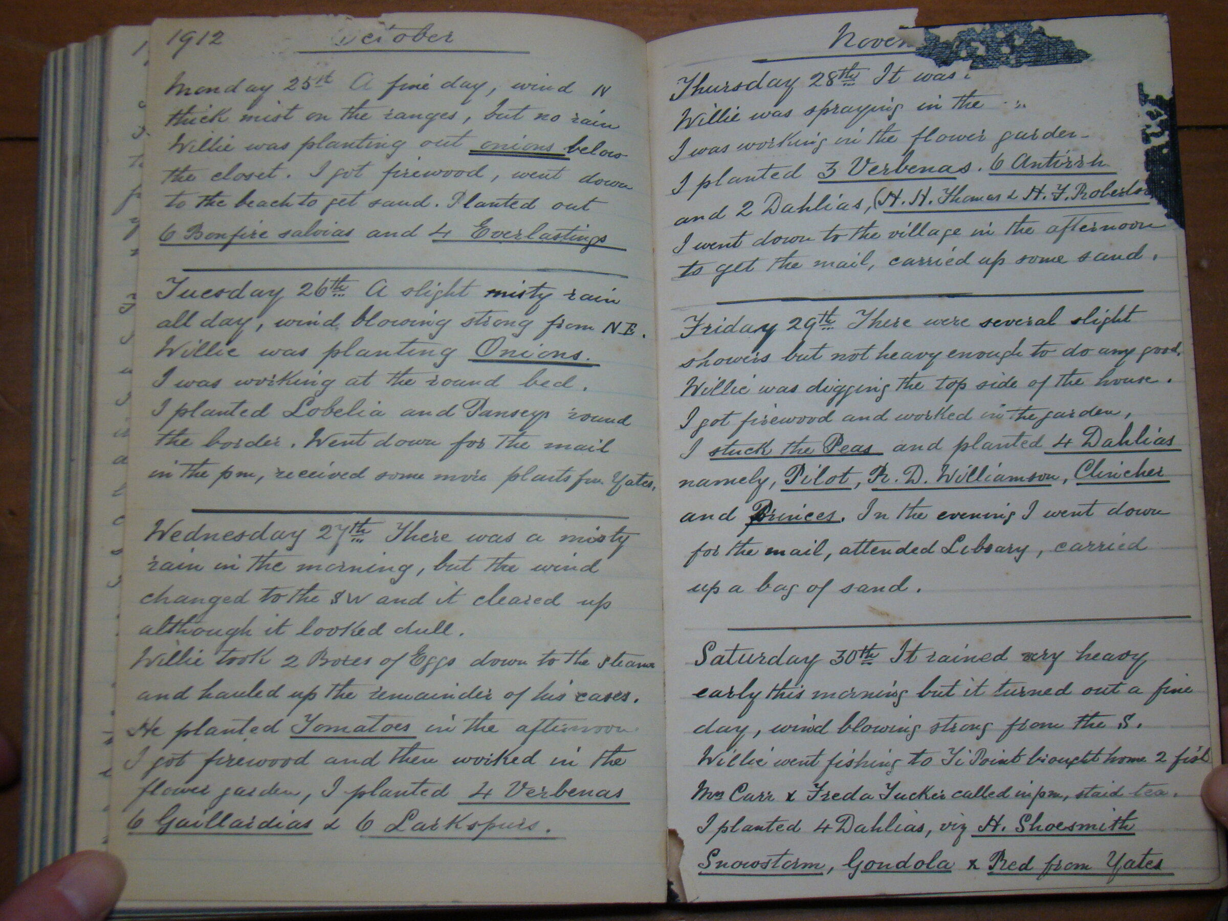 Original CS Clarke diary page
